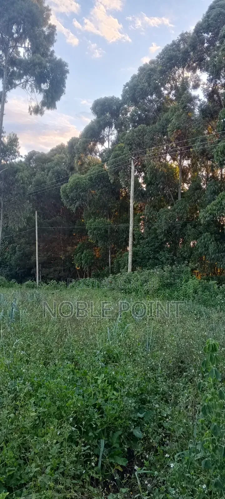 Waiyaki Way Plot on Sale in Zambezi/Sigona