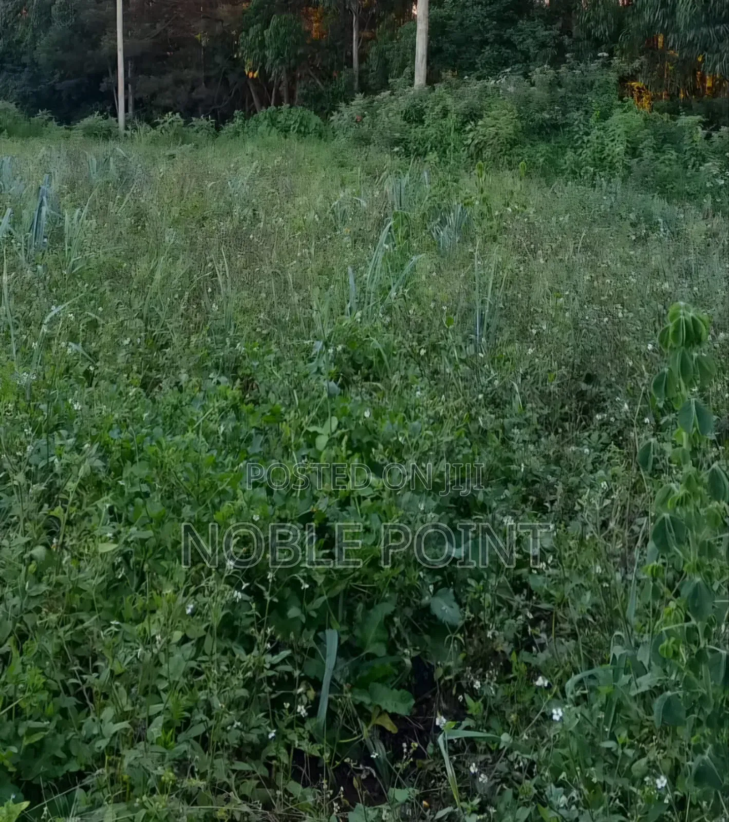 Waiyaki Way Plot on Sale in Zambezi/Sigona