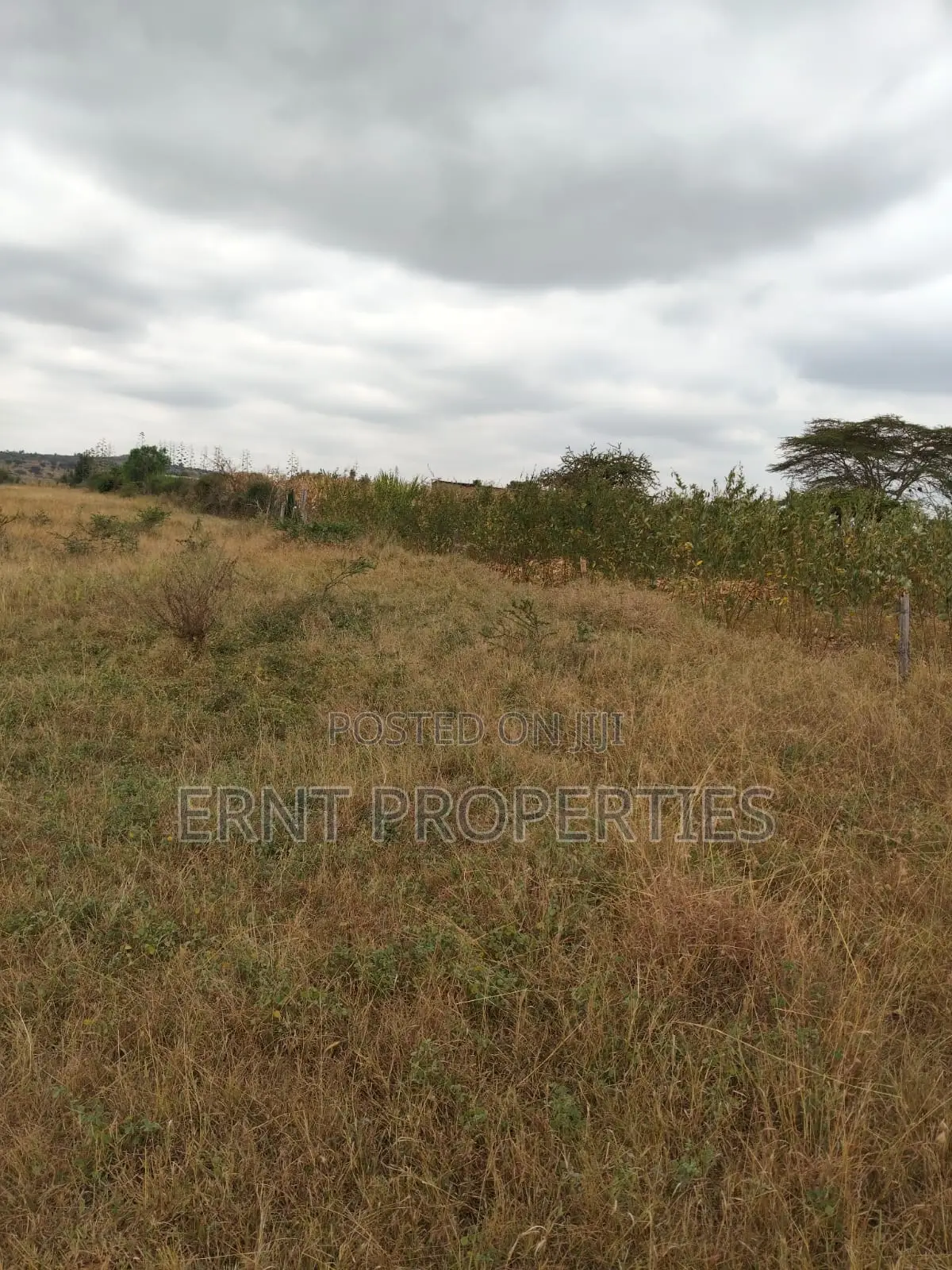 Prime 5 Acre Land Near Waumini Sacco, Lukenya Views in Kinanie