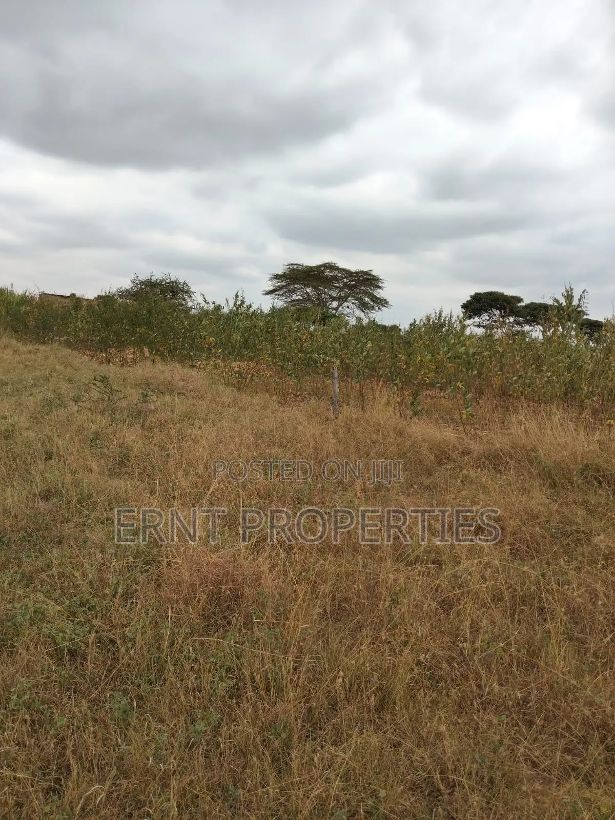 Prime 5 Acre Land Near Waumini Sacco, Lukenya Views in Kinanie