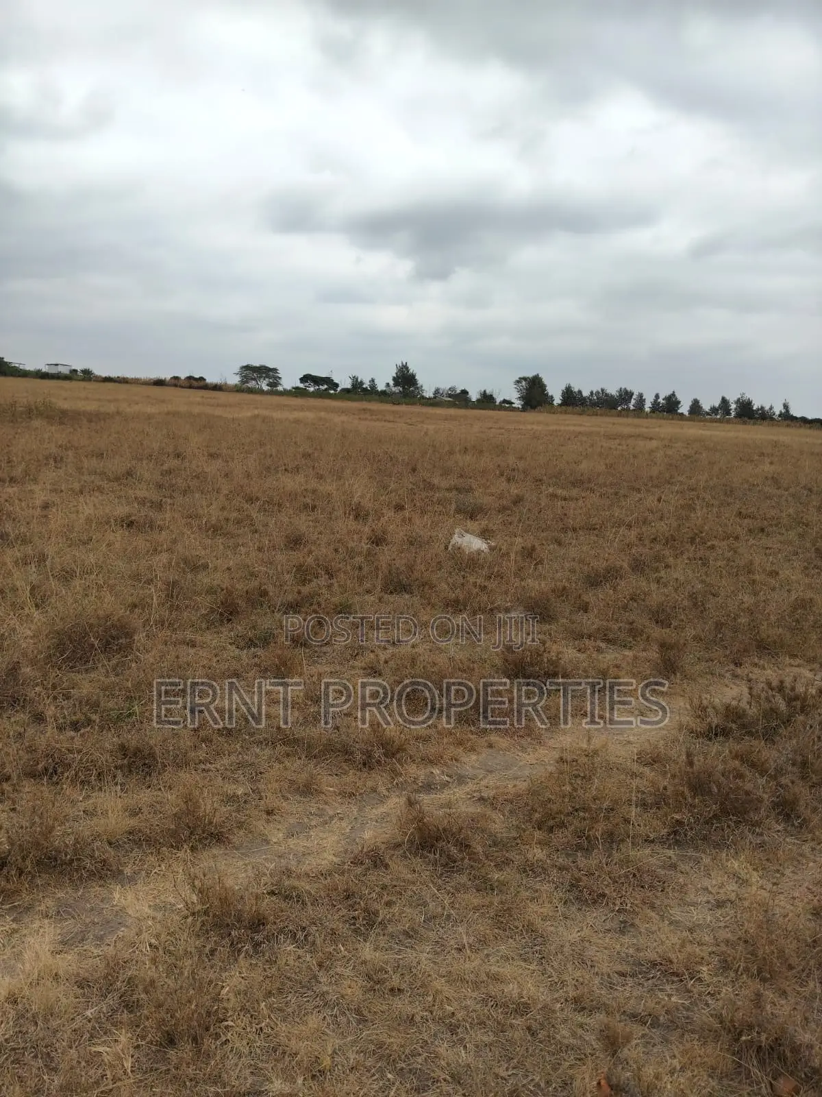 Prime 5 Acre Land Near Waumini Sacco, Lukenya Views in Kinanie