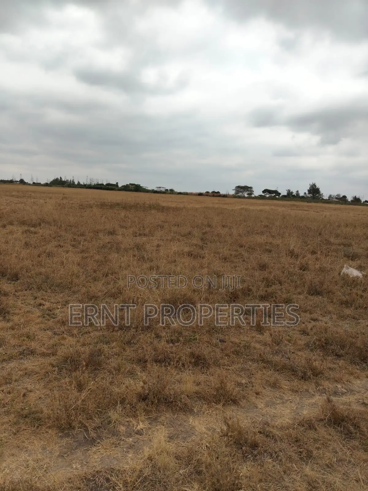 Prime 5 Acre Land Near Waumini Sacco, Lukenya Views in Kinanie