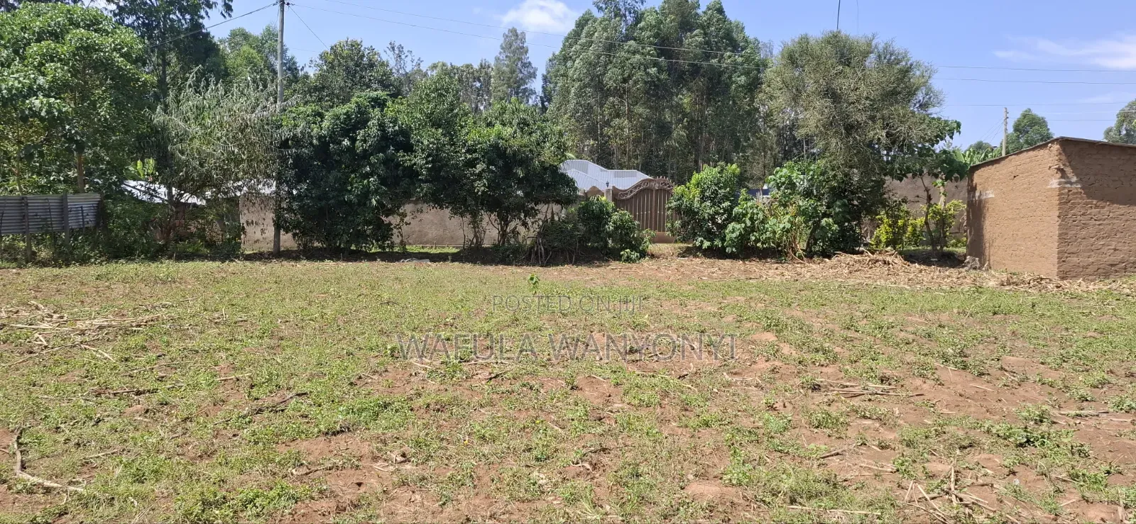 50 by 100 TUUTI Wanangali in Marakaru/Tuuti