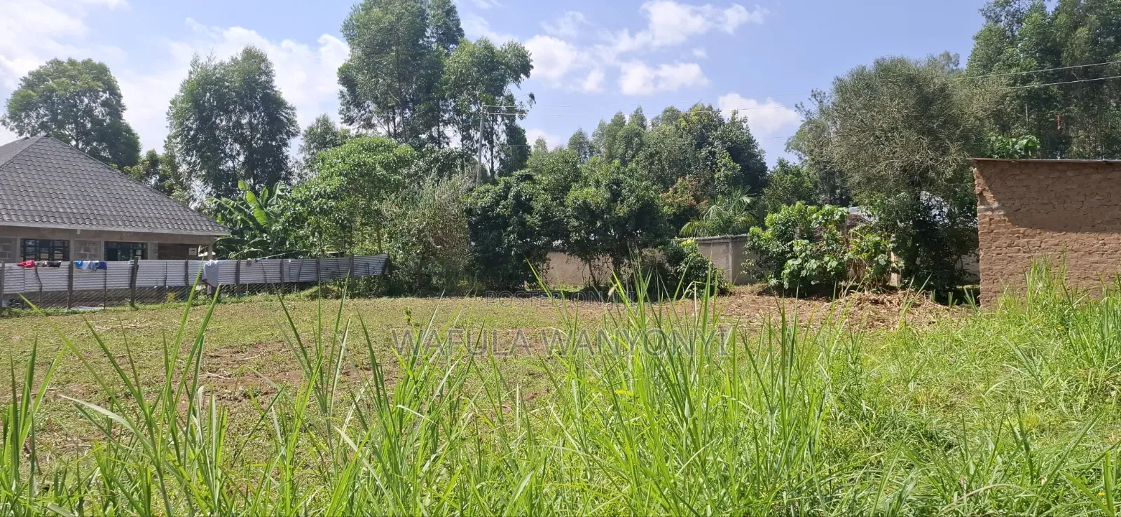 50 by 100 TUUTI Wanangali in Marakaru/Tuuti