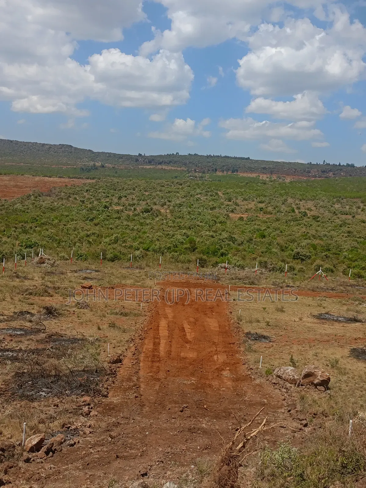 Residential or Investment Plots in Nachu in Nachu