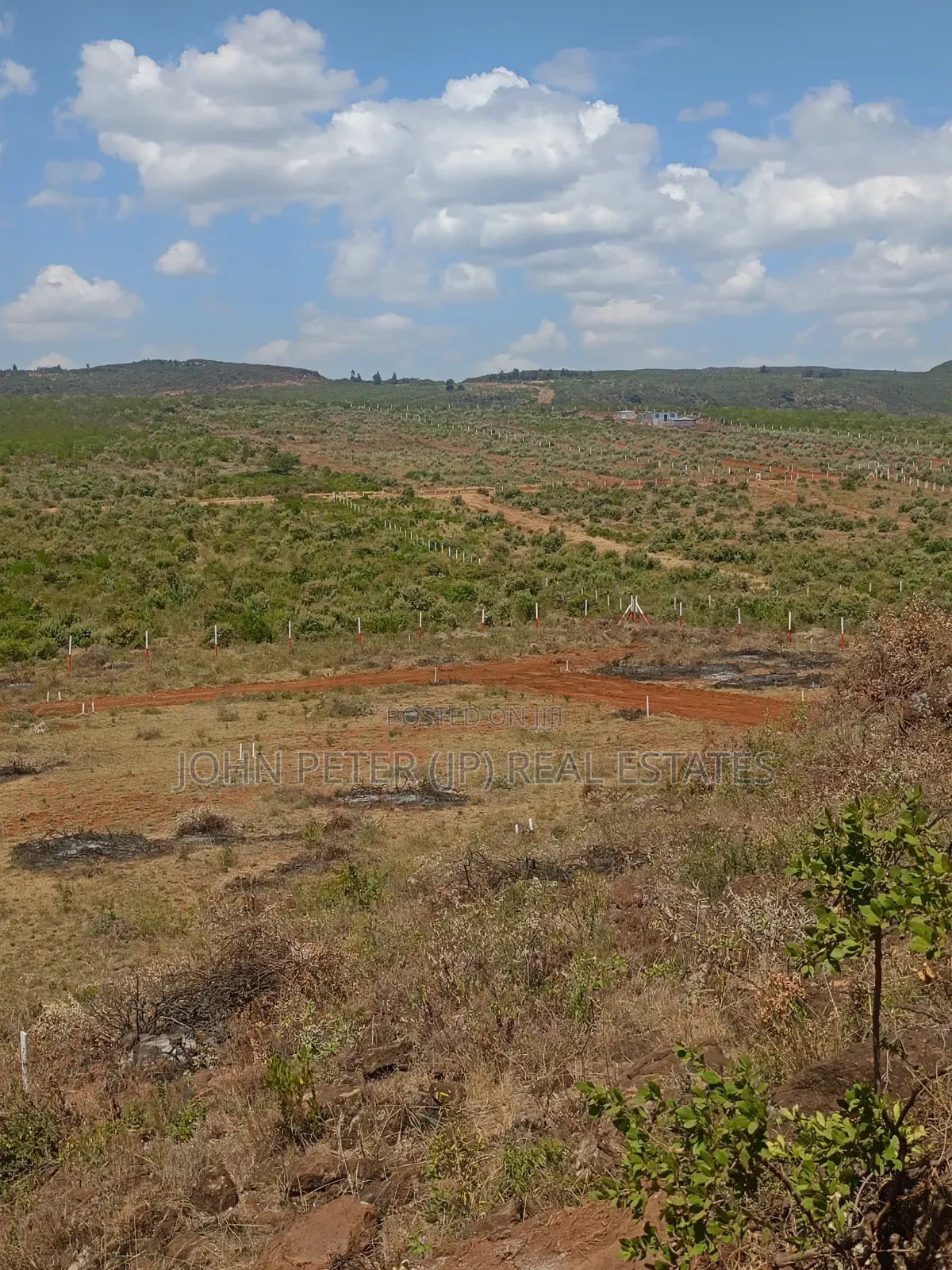 Residential or Investment Plots in Nachu in Nachu