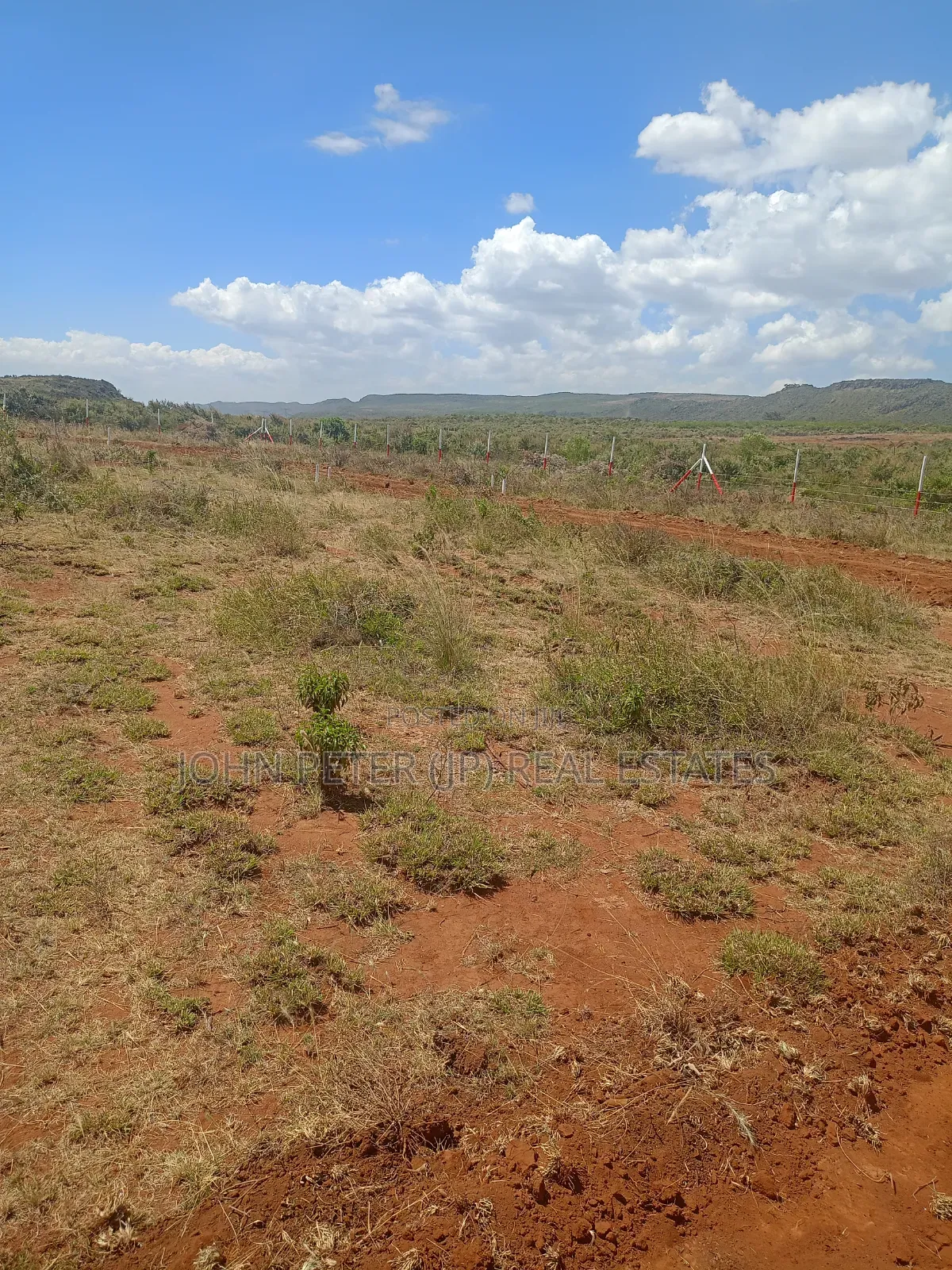 50 by 100 Plots in Nachu