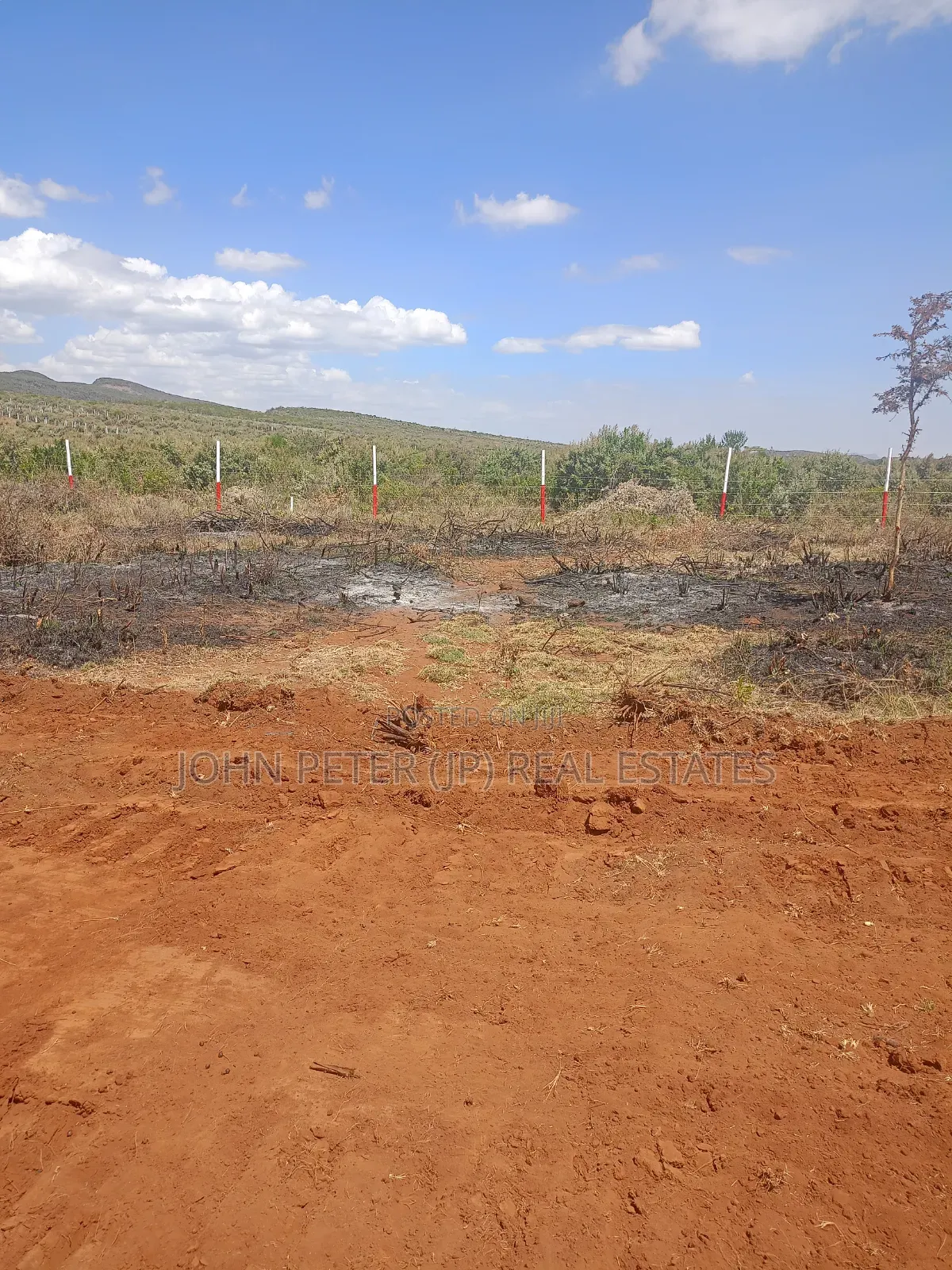 50 by 100 Plots in Nachu