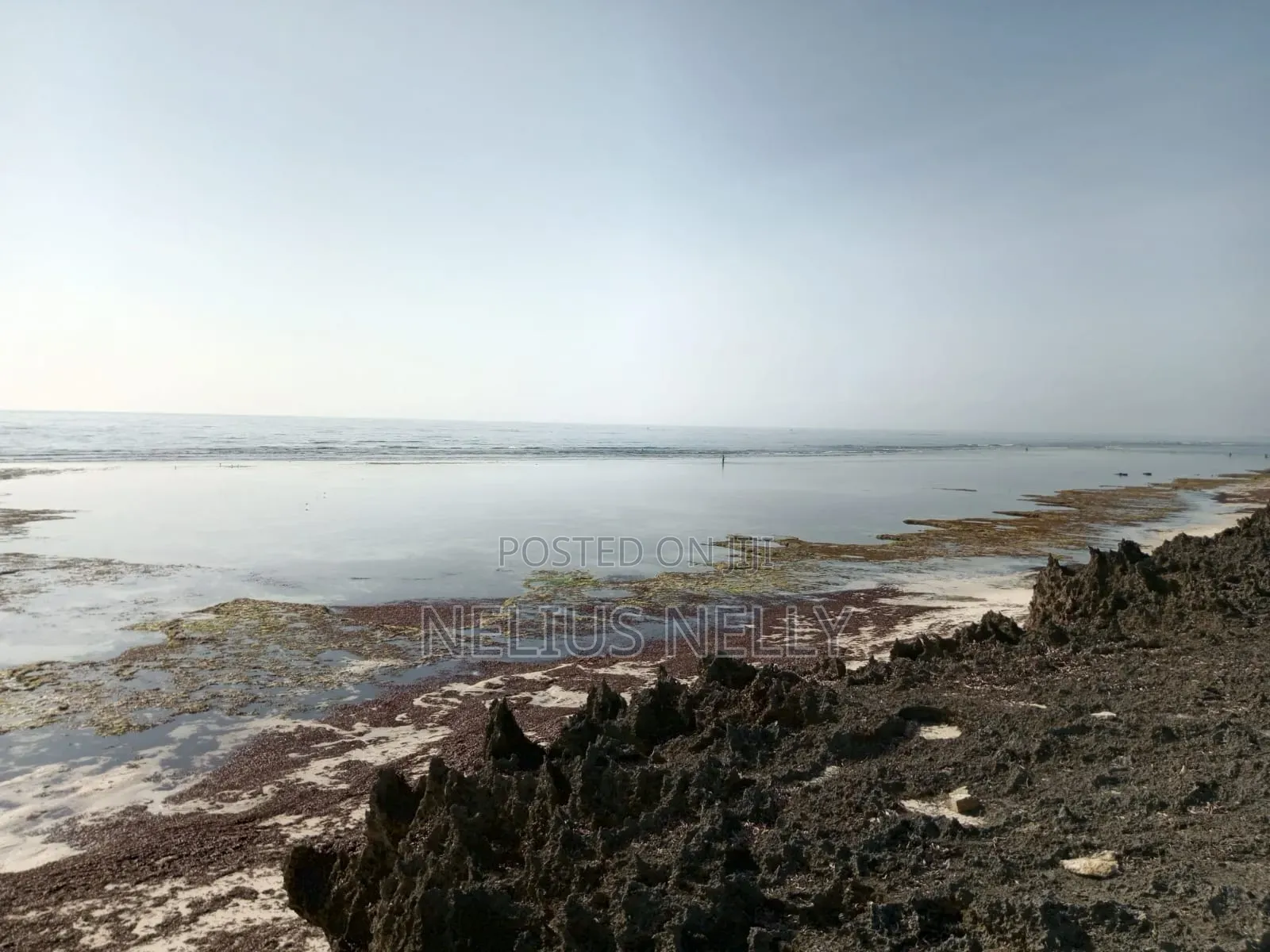 4acres Beach Front Kilifi Katanangala in Kilifi North