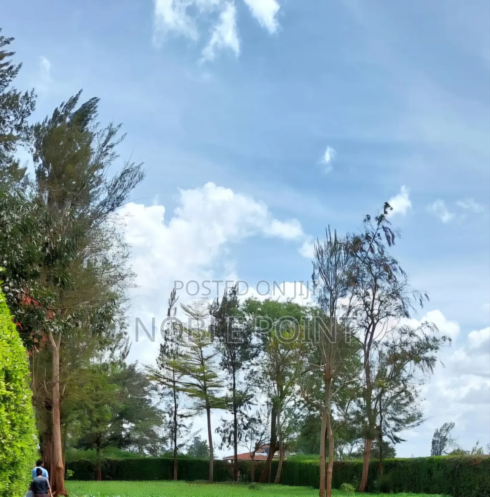 Runda Plot on Sale in Runda