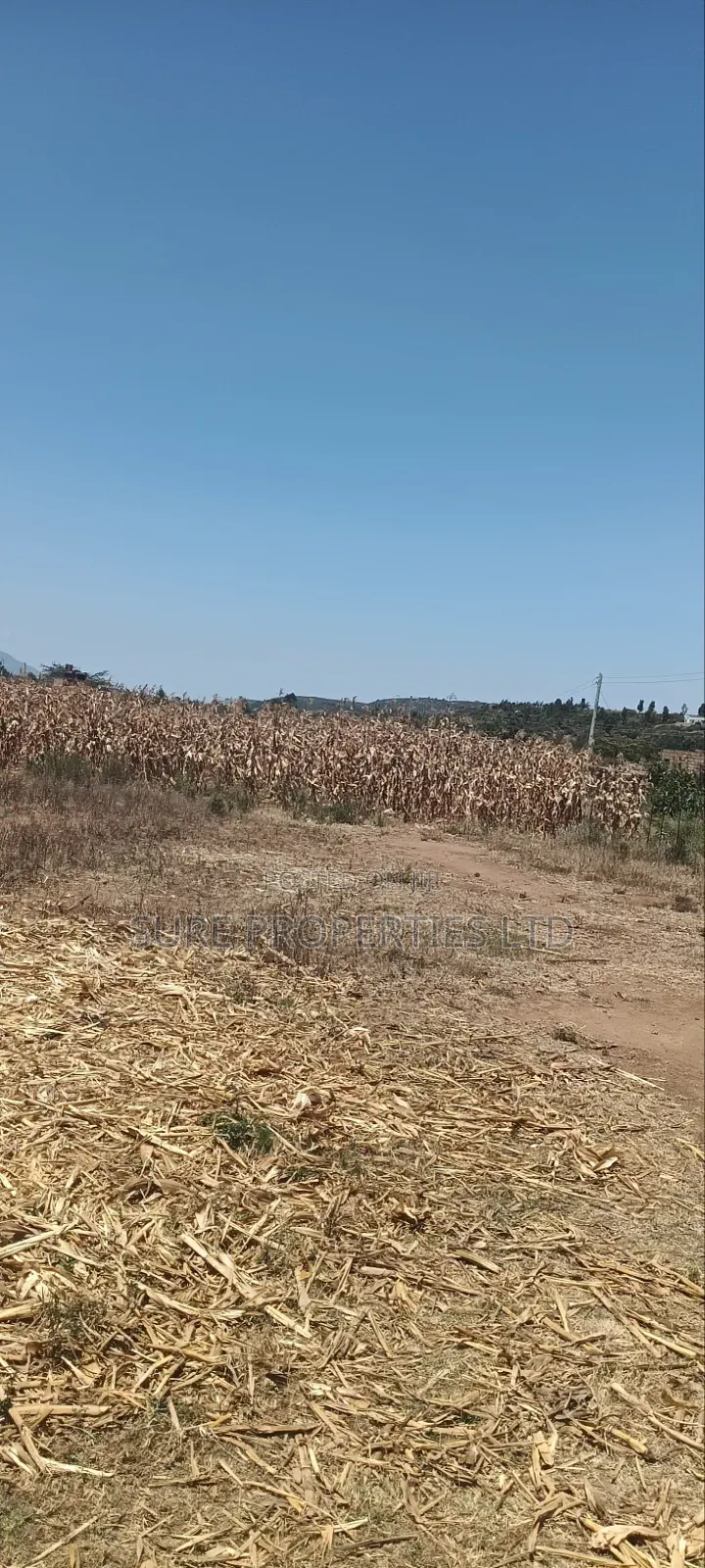 100x100 Plot in Kikuyu Kamangu/Ndiguini Lusingetti in Kikuyu