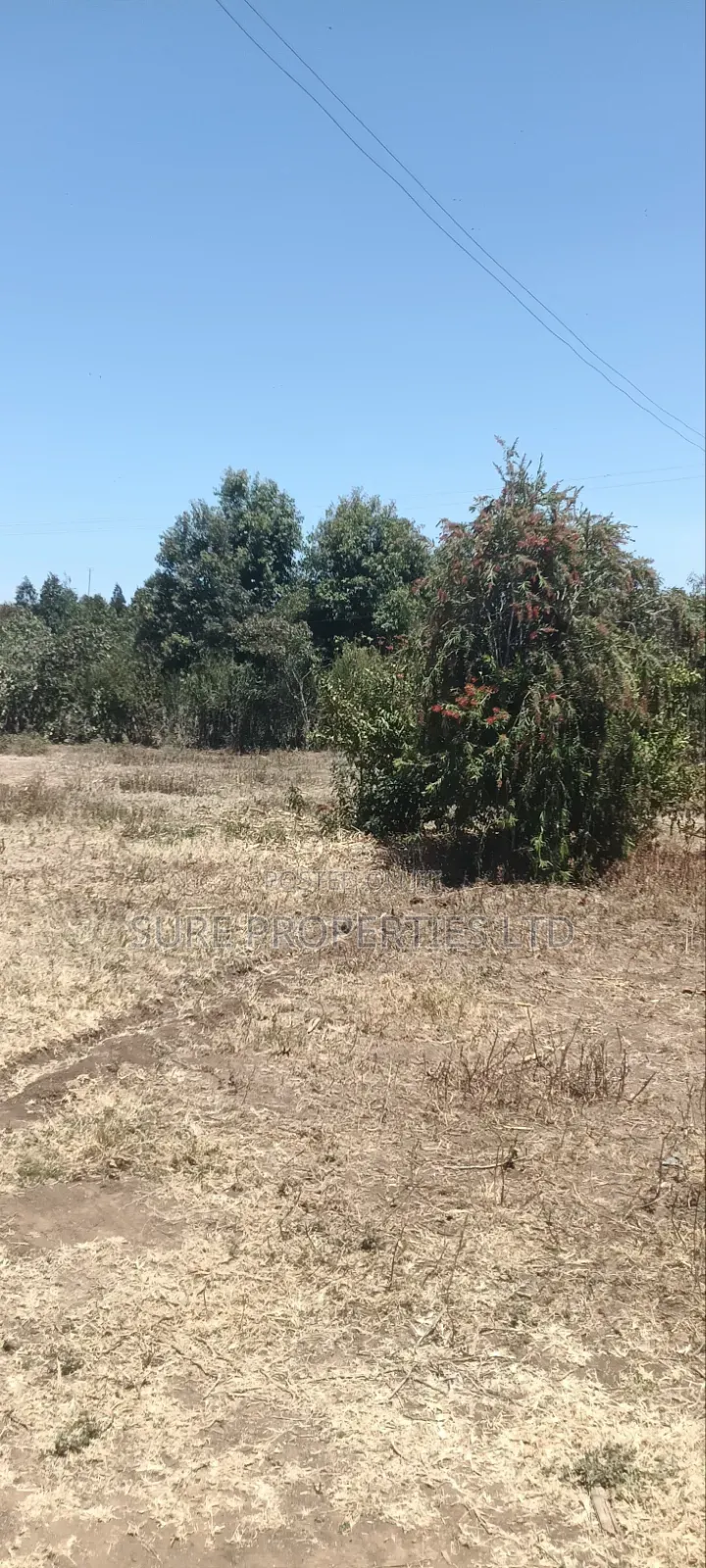 100x100 Plot in Kikuyu Kamangu/Ndiguini Lusingetti in Kikuyu
