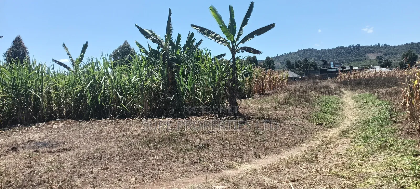 100x100 Plot in Kikuyu Kamangu/Ndiguini Lusingetti in Kikuyu