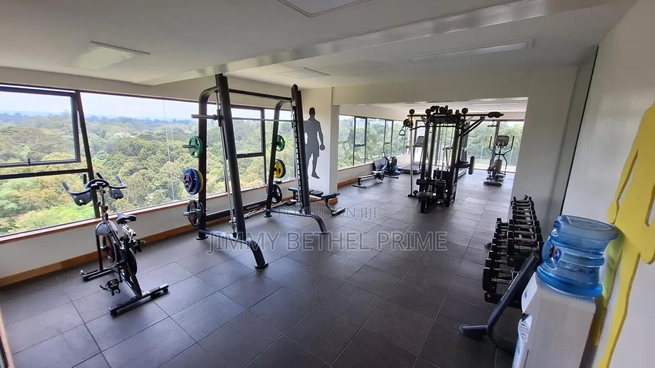 Furnished 3bdrm Apartment in Spring Valley for rent in Spring Valley