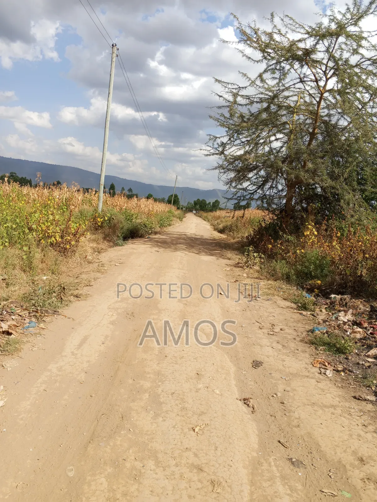 5ac Land for Sale 2nd Row From the Narok Highway Mafuta Taa Maimahiu in Mai Mahiu