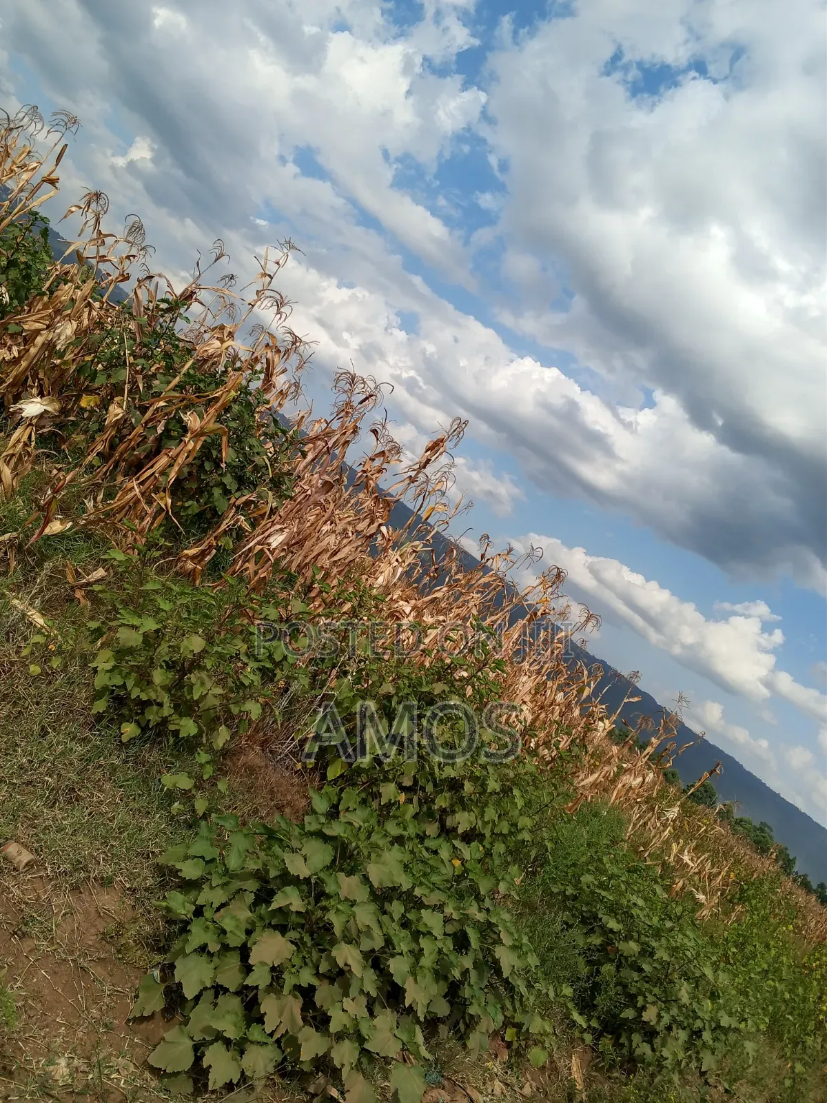 5ac Land for Sale 2nd Row From the Narok Highway Mafuta Taa Maimahiu in Mai Mahiu