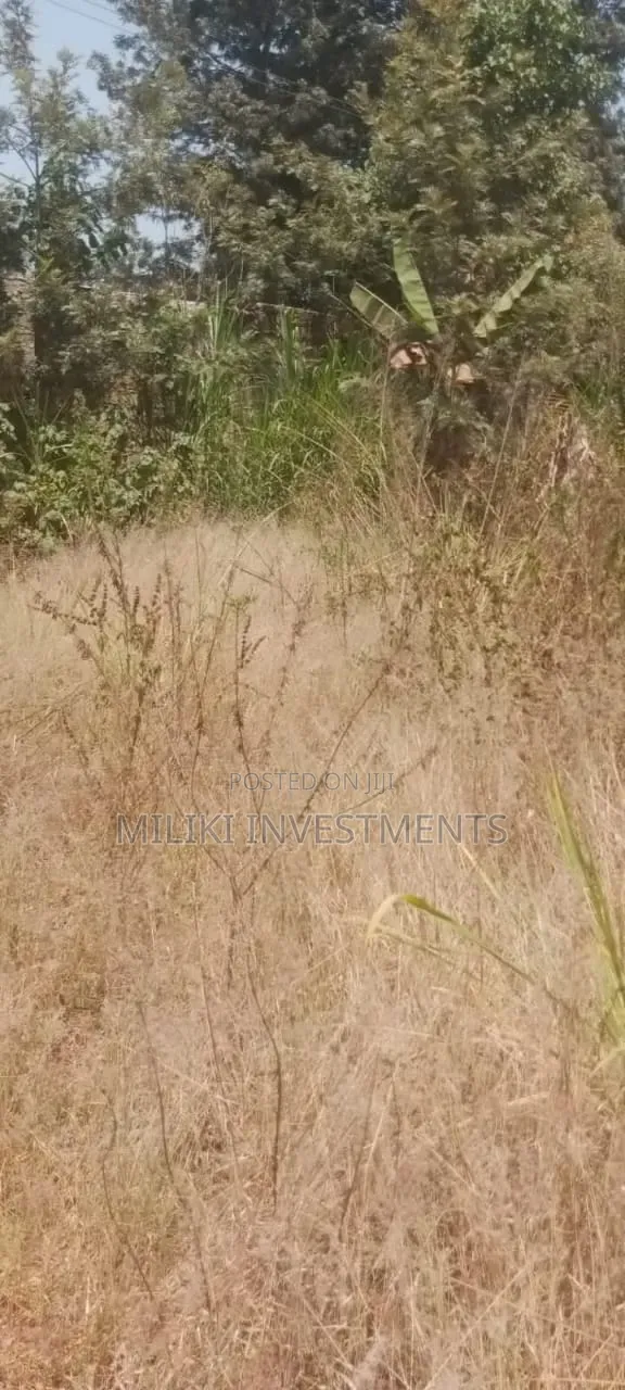 50 by 100 Ft Commercial Plot on Sale at Gatundu Mutomo in Kiganjo