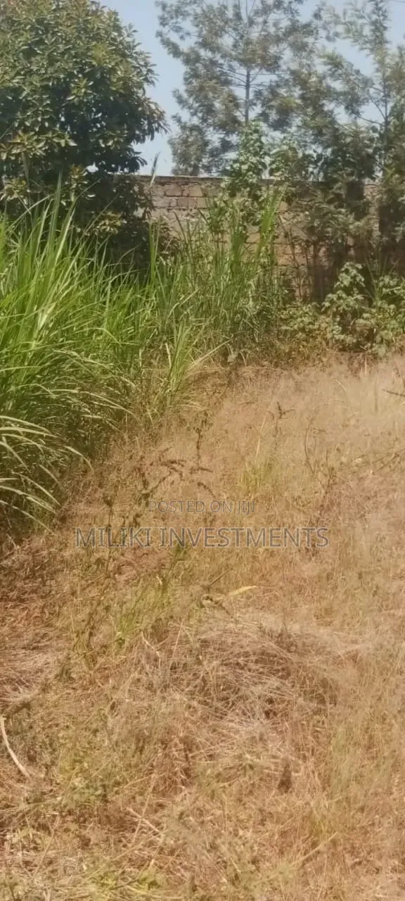 50 by 100 Ft Commercial Plot on Sale at Gatundu Mutomo in Kiganjo