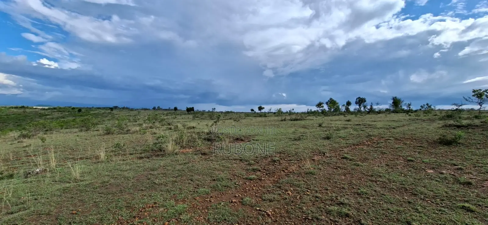 6 Acres Available in Mukima, Nanyuki in Nanyuki