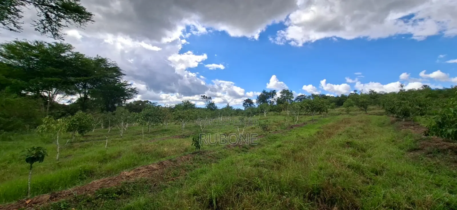 6.2 Acres Available in Ngoliba - Thika in Ngoliba