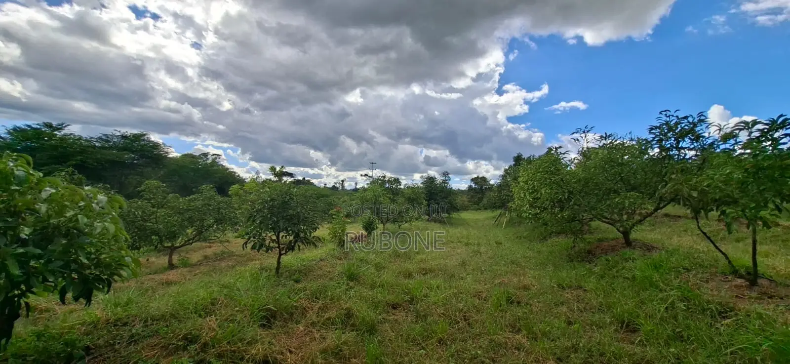 6.2 Acres Available in Ngoliba - Thika in Ngoliba