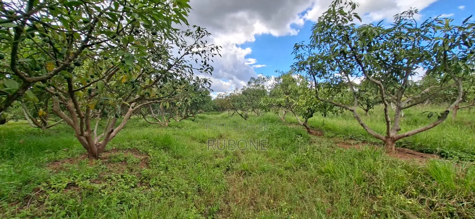6.2 Acres Available in Ngoliba - Thika in Ngoliba