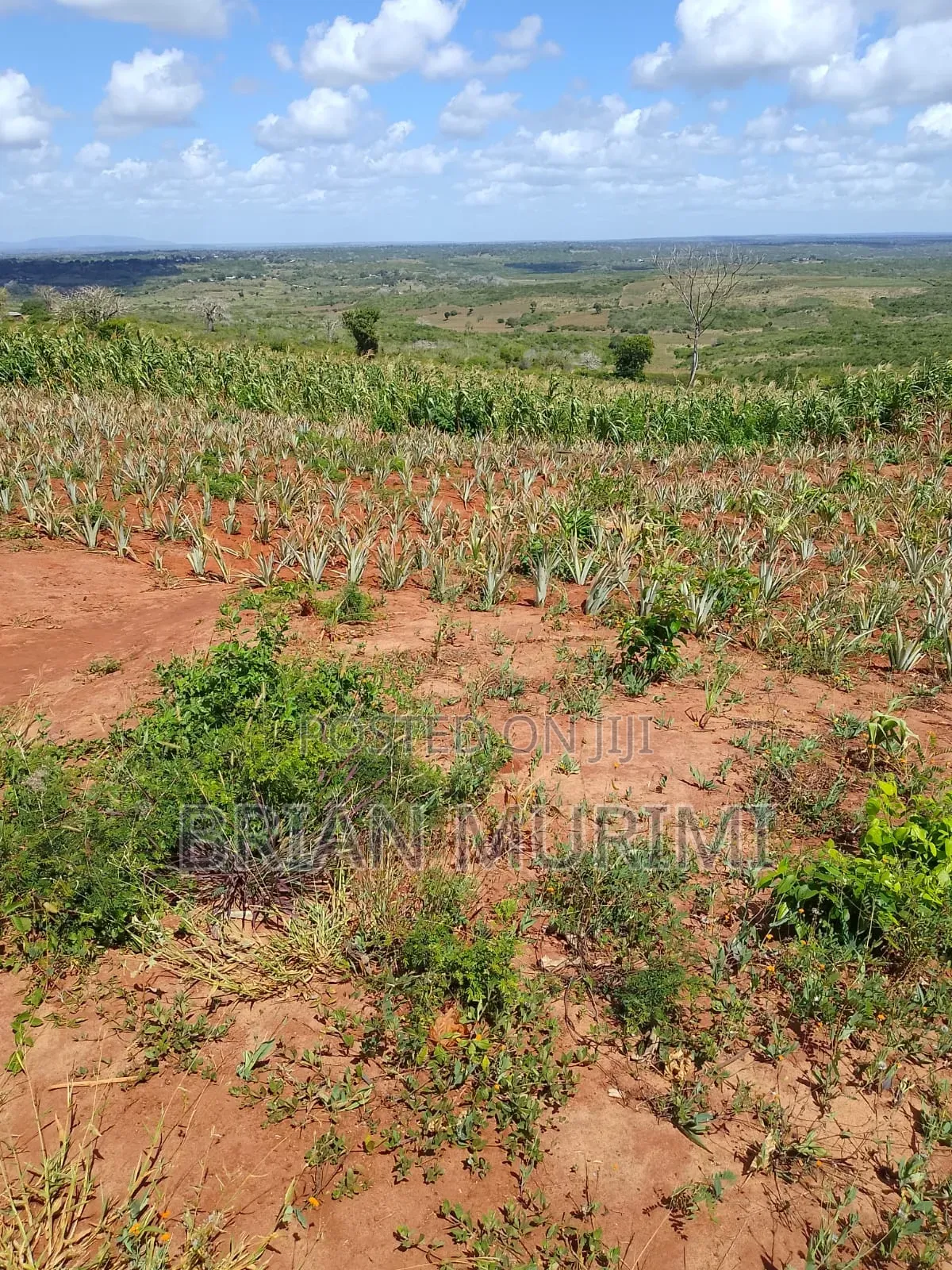 33Acres Pumwani at Affordable Price in Kakuyuni