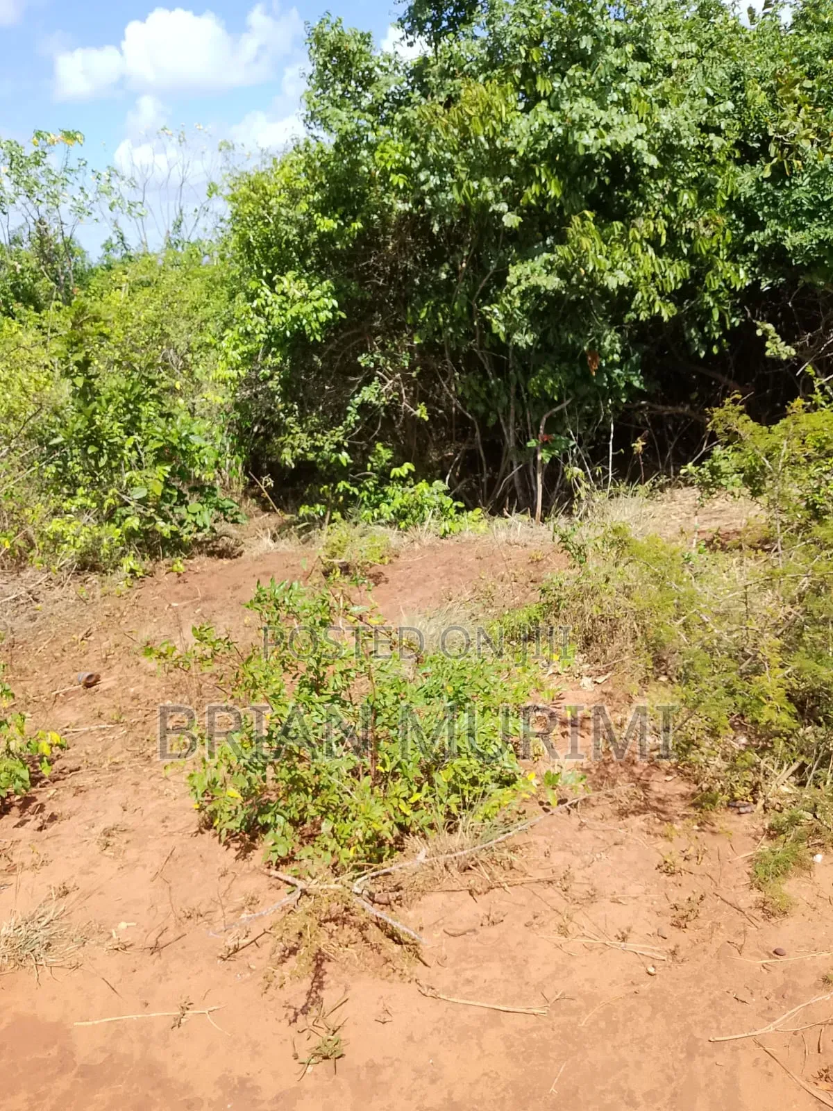 33Acres Pumwani at Affordable Price in Kakuyuni