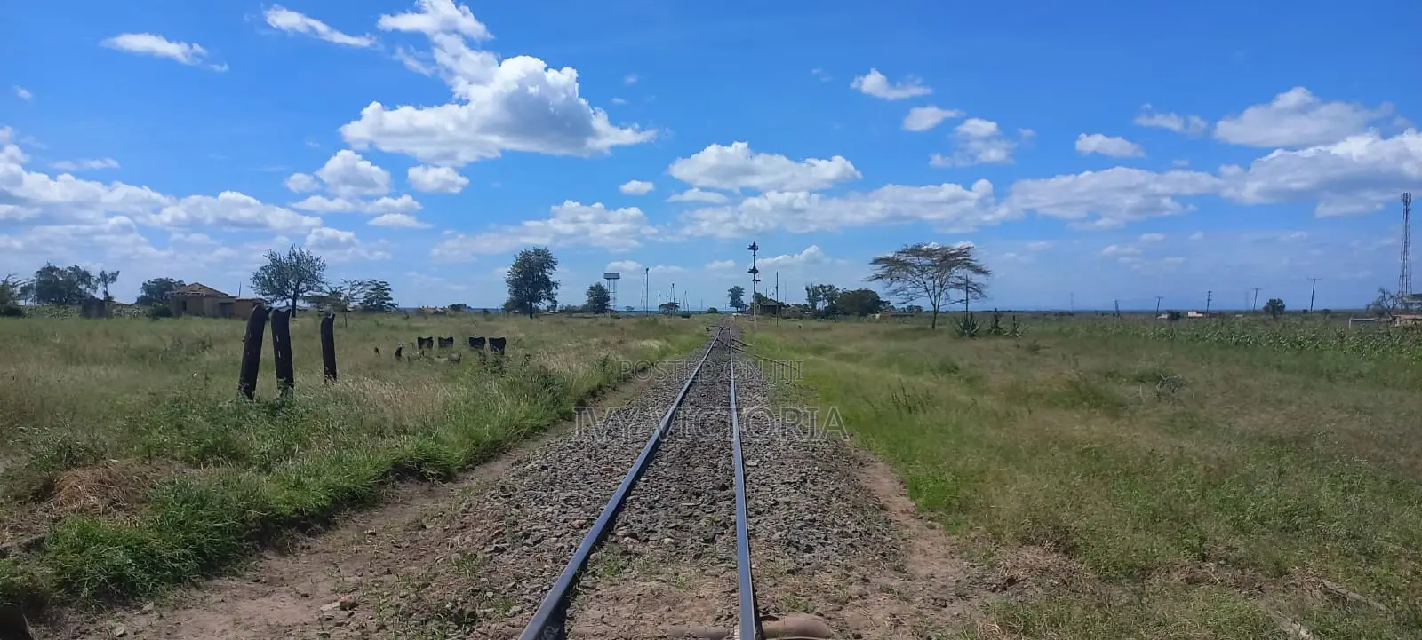 50 by 100 Konza Plots in Malili