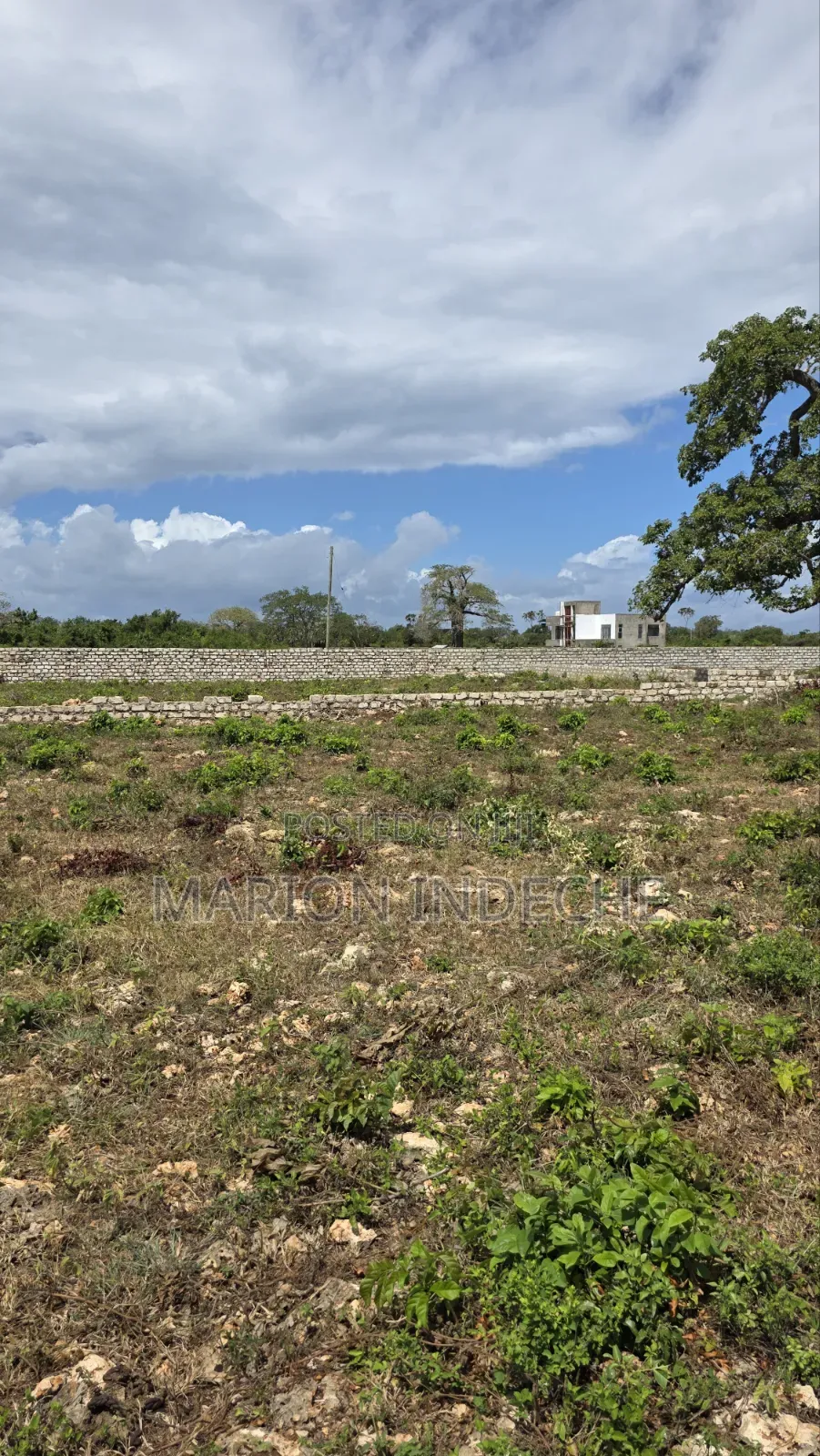 Diani Prime 50x100ft Plots for Sale in Diani