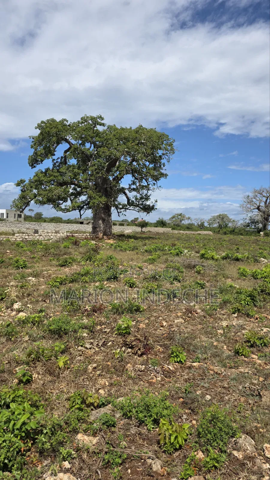 Diani Prime 50x100ft Plots for Sale in Diani