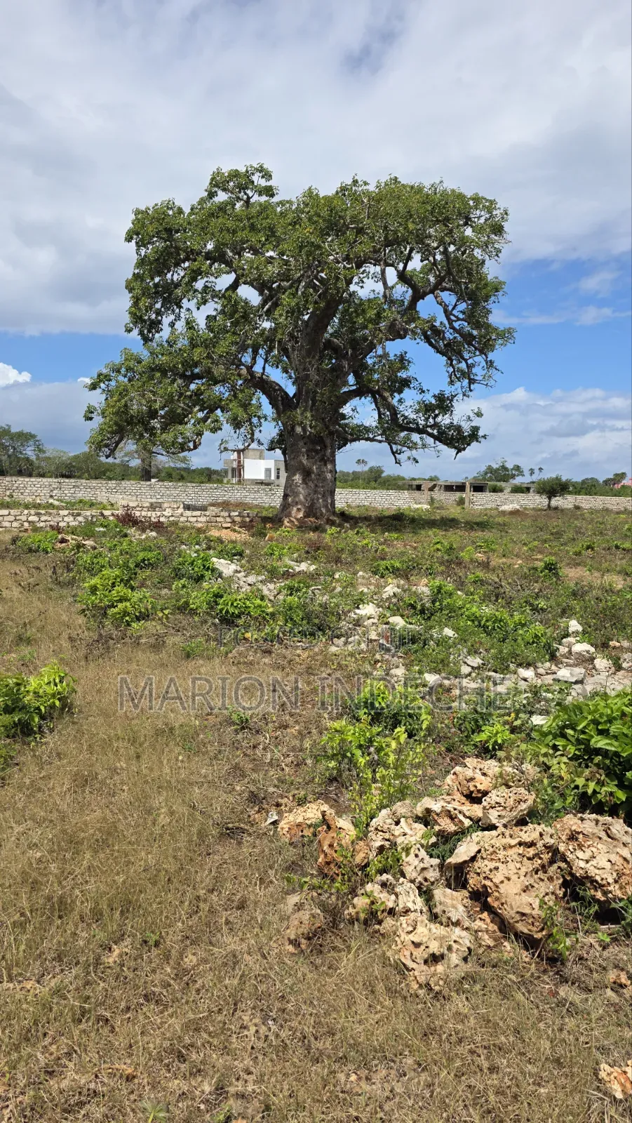 Diani Prime 50x100ft Plots for Sale in Diani