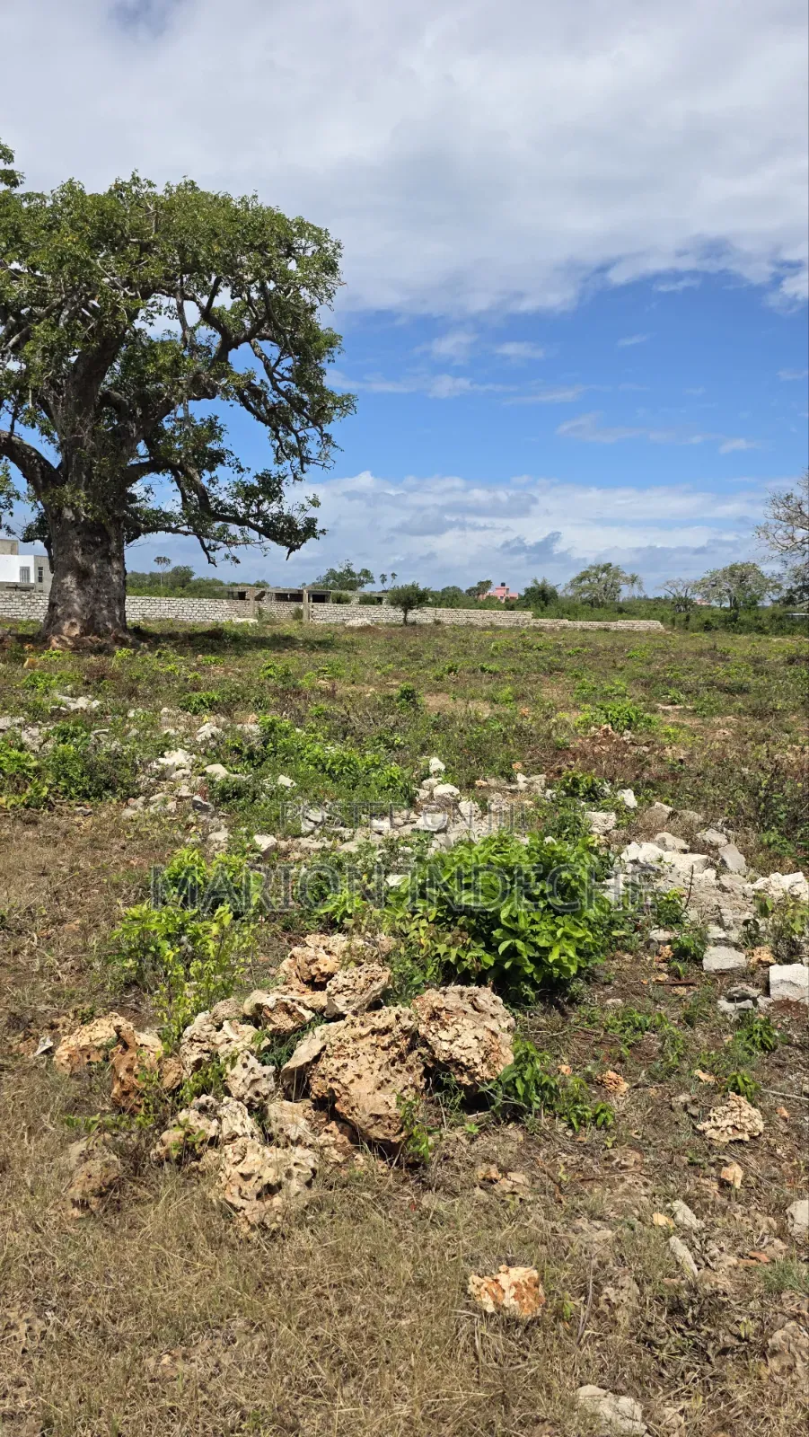 Diani Prime 50x100ft Plots for Sale in Diani