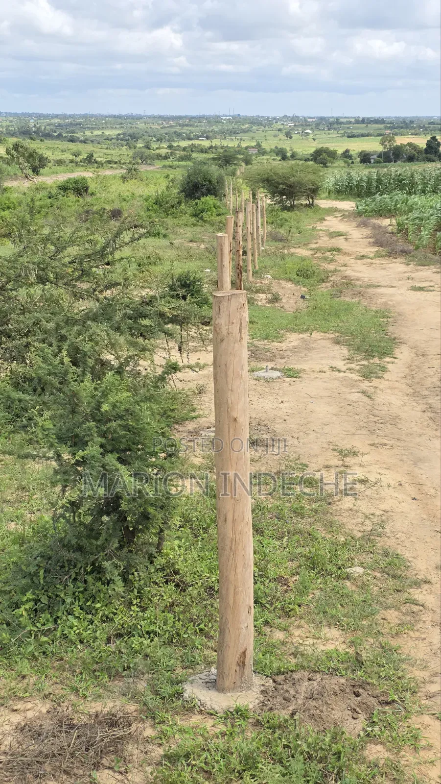 Prime 50x100ft Plots for Sale in Mariakani in Mariakani