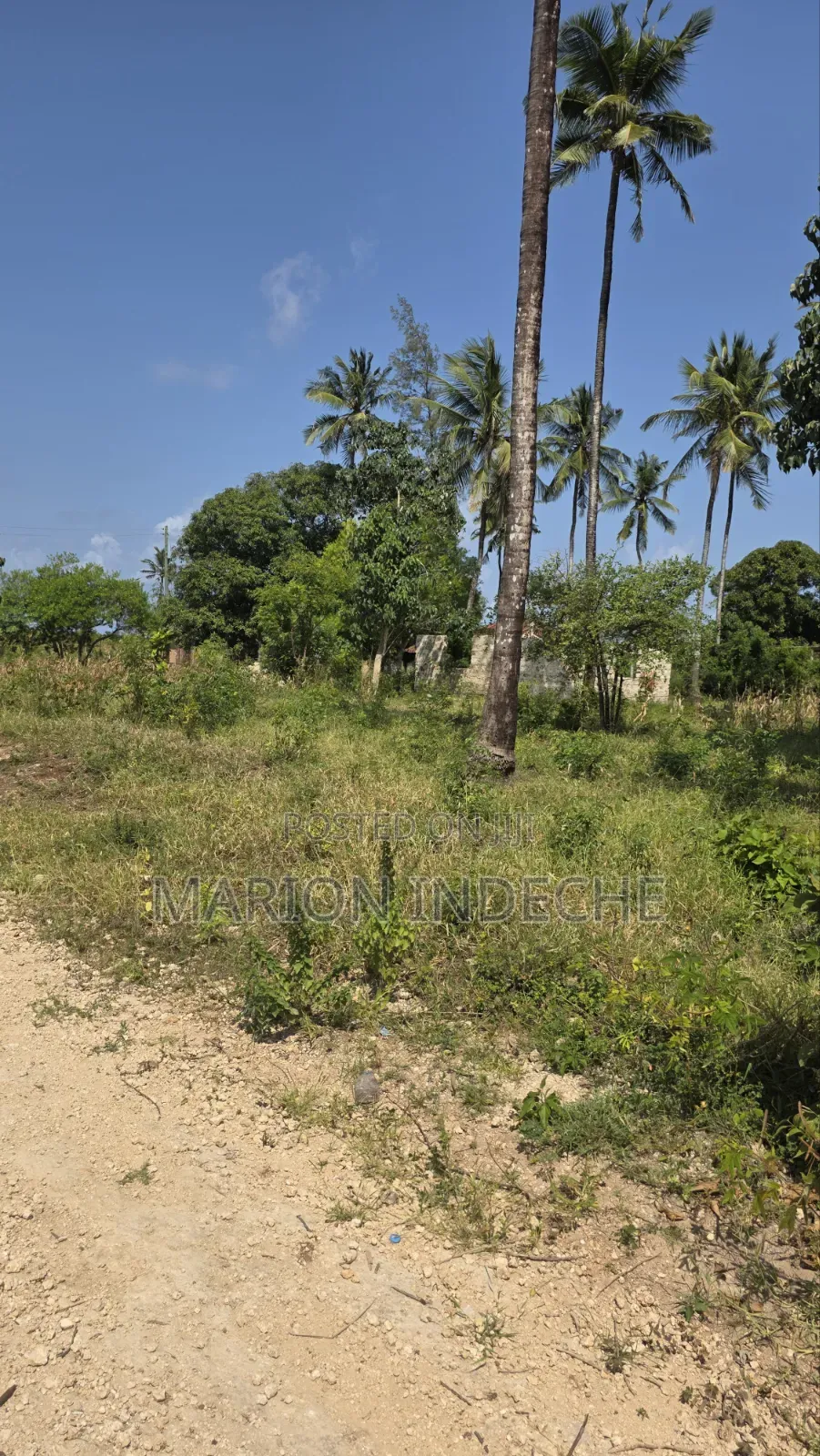 2 Acres for Sale in Kilifi Tezo Ideal for Both Residential/ Farmland in Tezo
