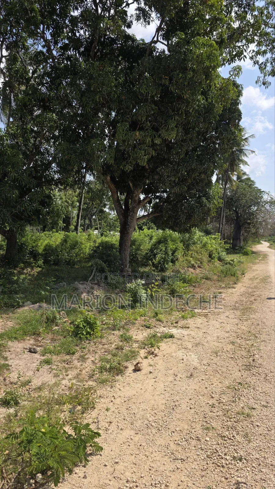2 Acres for Sale in Kilifi Tezo Ideal for Both Residential/ Farmland in Tezo