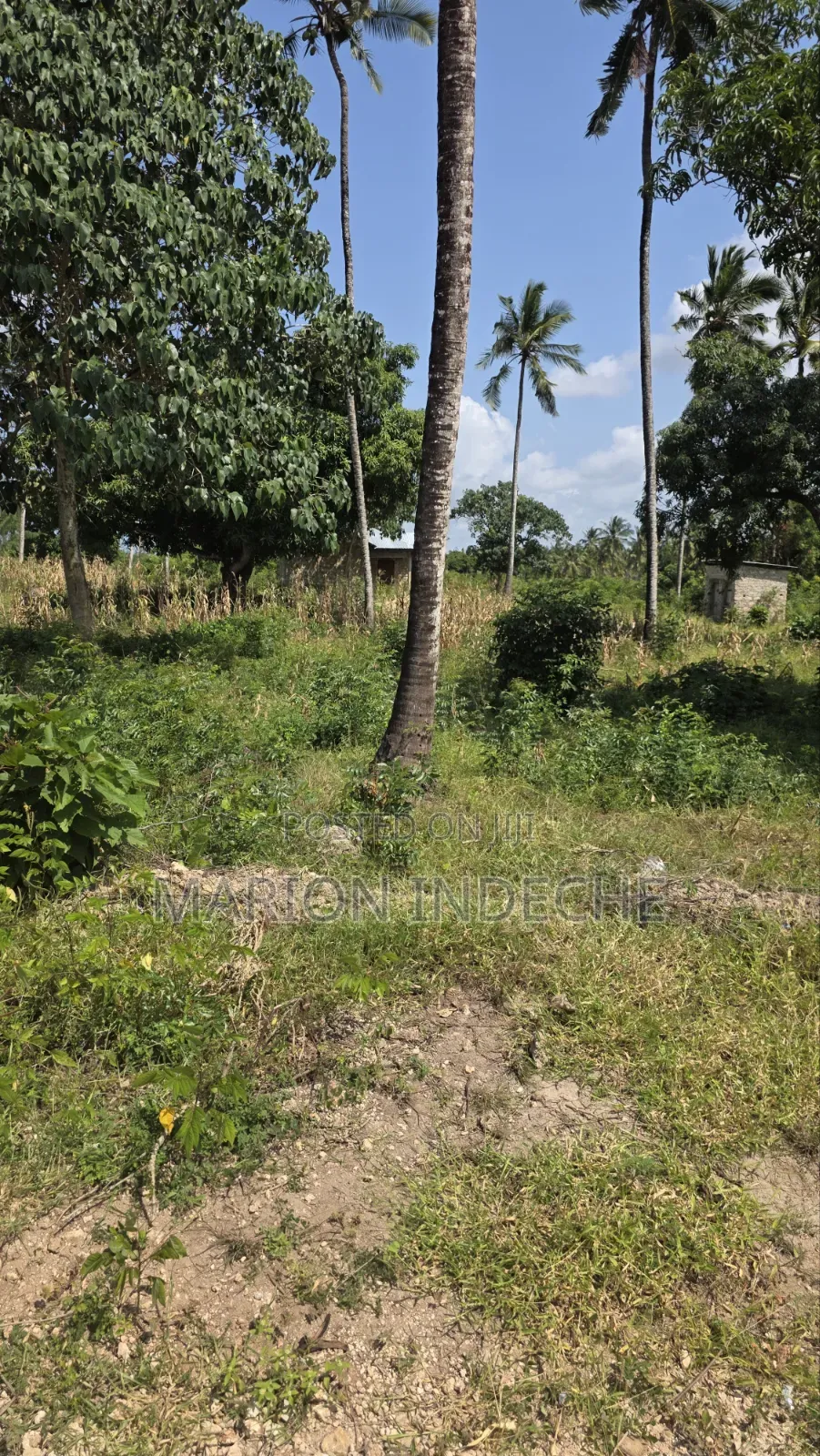 2 Acres for Sale in Kilifi Tezo Ideal for Both Residential/ Farmland in Tezo