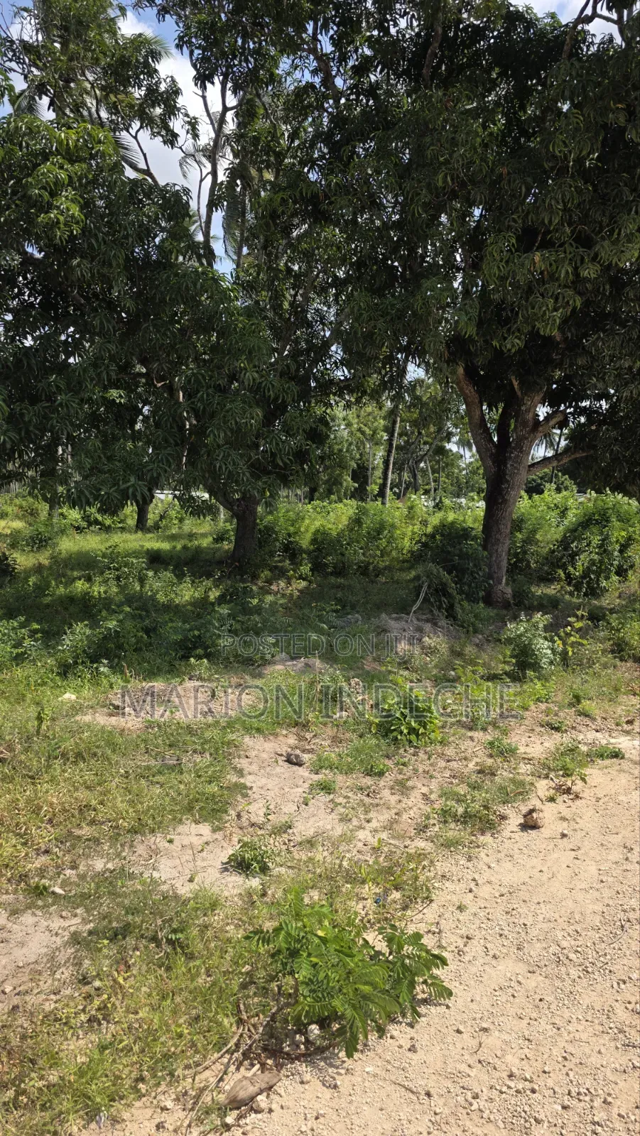 2 Acres for Sale in Kilifi Tezo Ideal for Both Residential/ Farmland in Tezo
