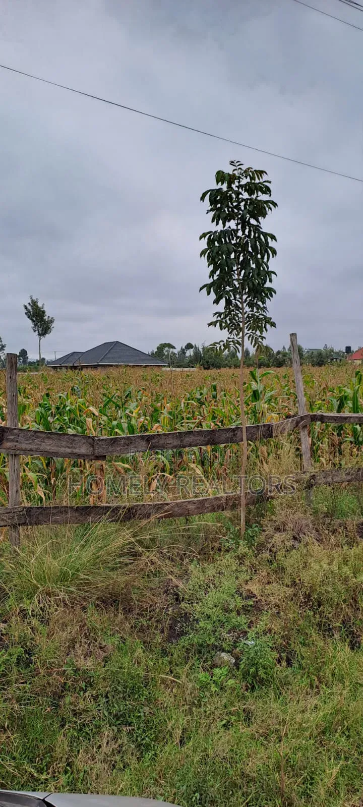 Eighth Acre Plots for Sale in Ongata Rongai, Rang'au Area in Kandisi