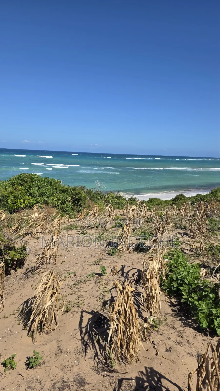 8 Acres Beach Front for Sale at 15m in Kilifi Town