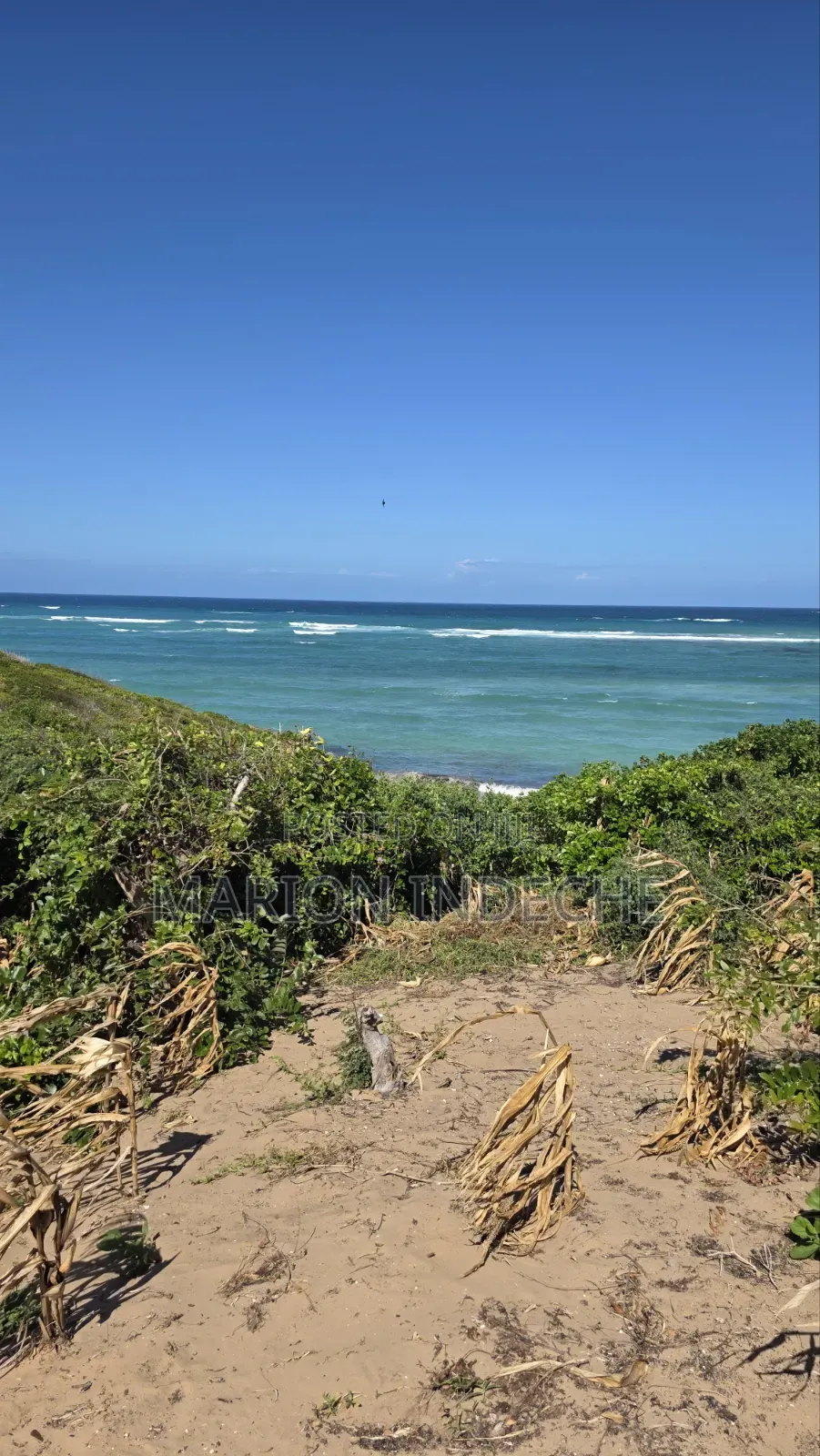 8 Acres Beach Front for Sale at 15m in Kilifi Town