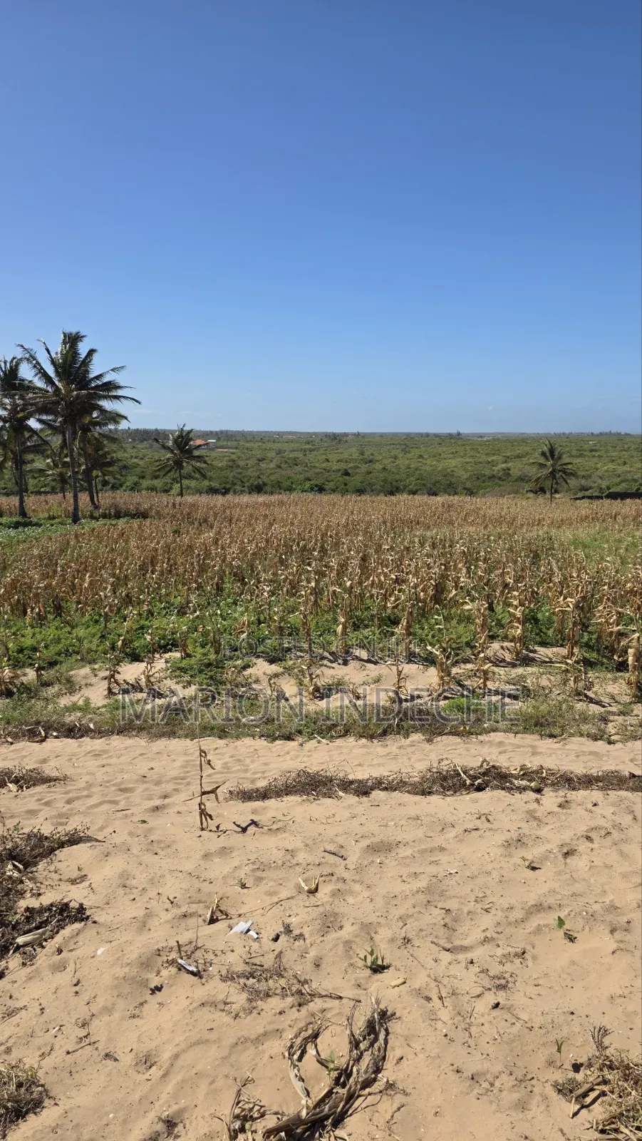 8 Acres Beach Front for Sale at 15m in Kilifi Town