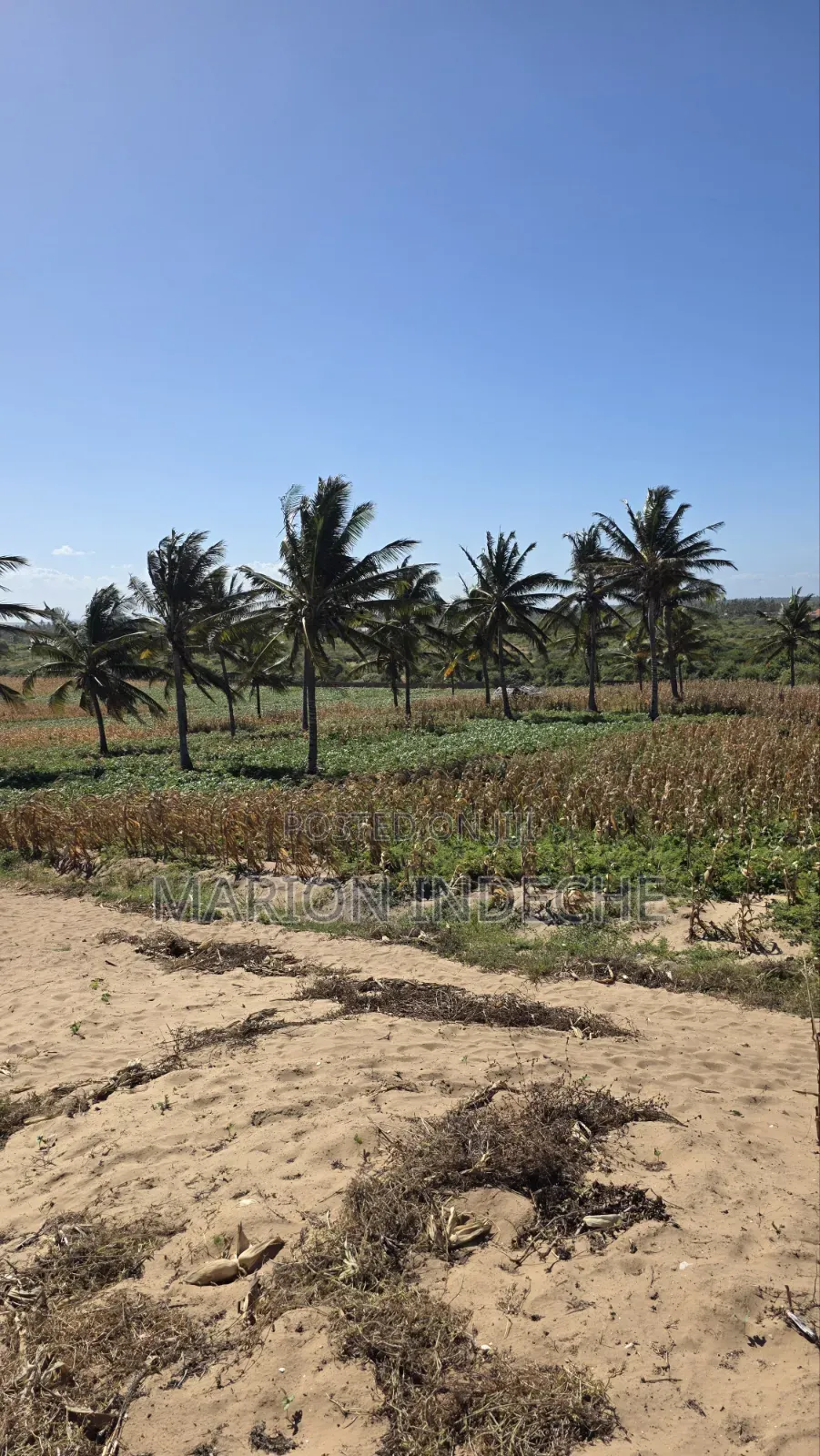 8 Acres Beach Front for Sale at 15m in Kilifi Town