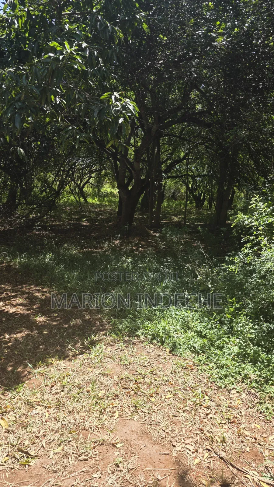 2nd Row 1-Acre Parcel in Bofa for Sale in Kilifi Town