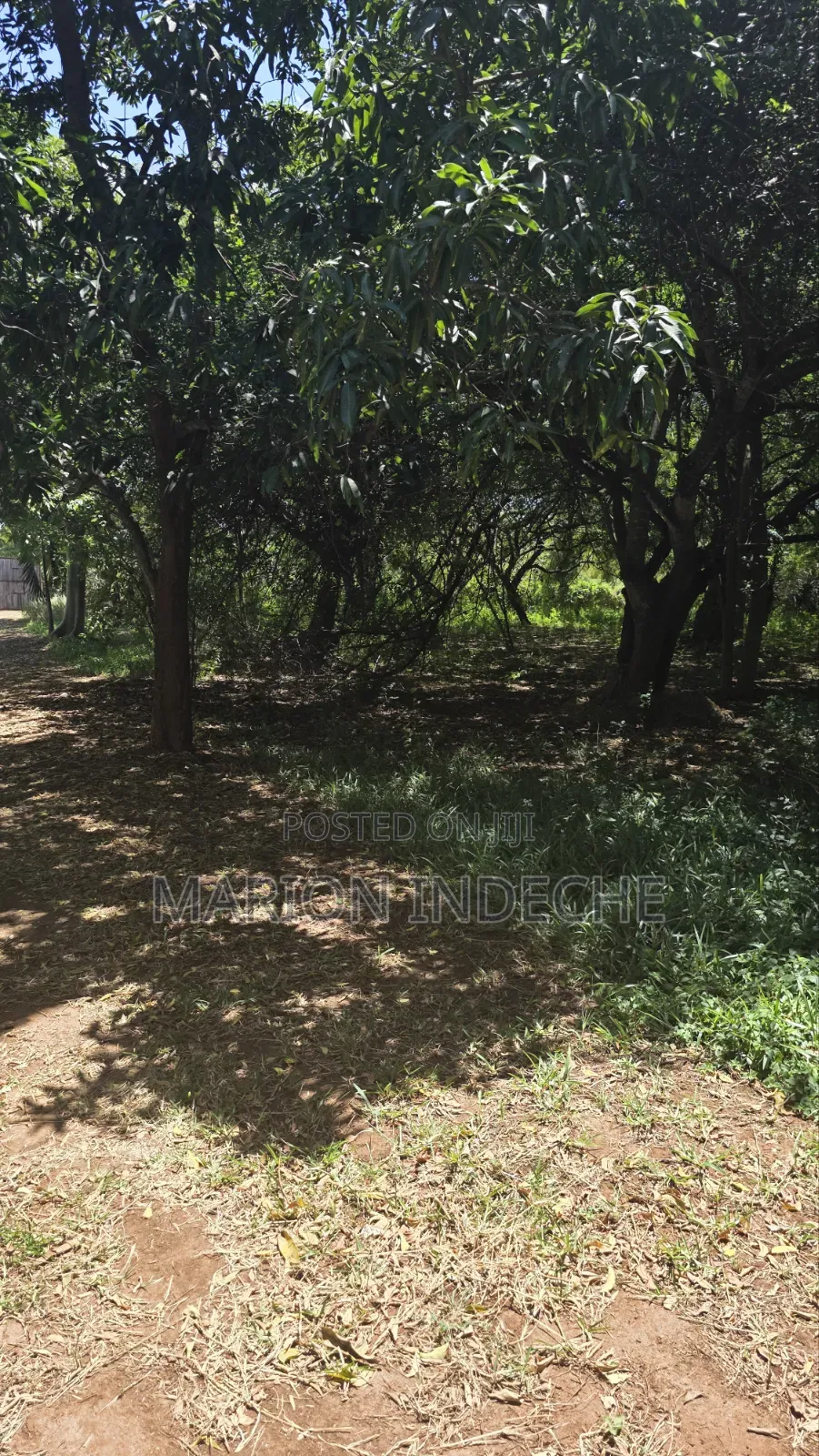 2nd Row 1-Acre Parcel in Bofa for Sale in Kilifi Town