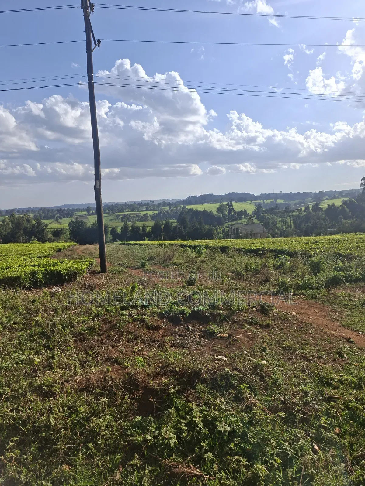 30 Acres for Sale in Riara RIDGE Tigoni in Tigoni