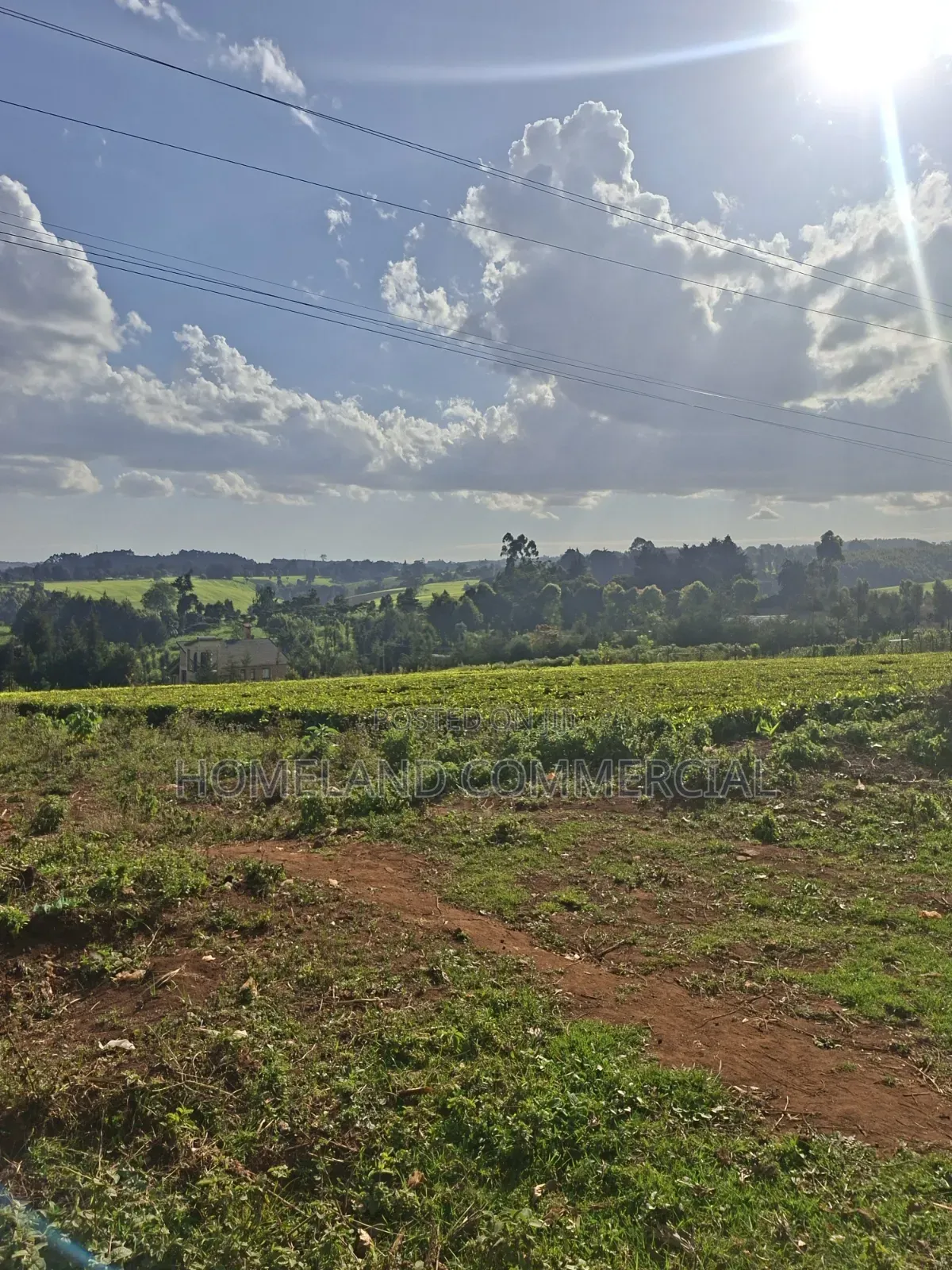 30 Acres for Sale in Riara RIDGE Tigoni in Tigoni
