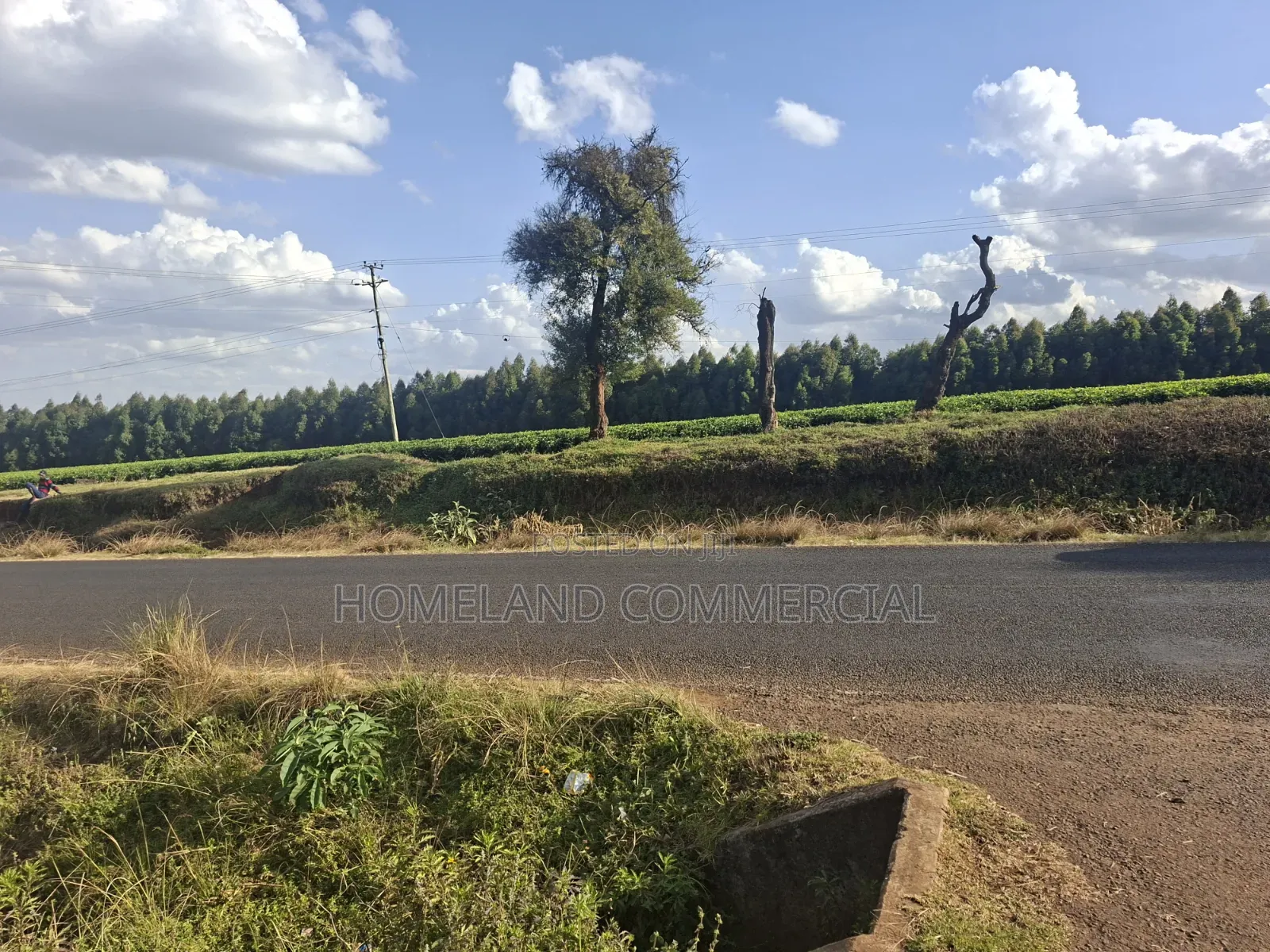 30 Acres for Sale in Riara RIDGE Tigoni in Tigoni