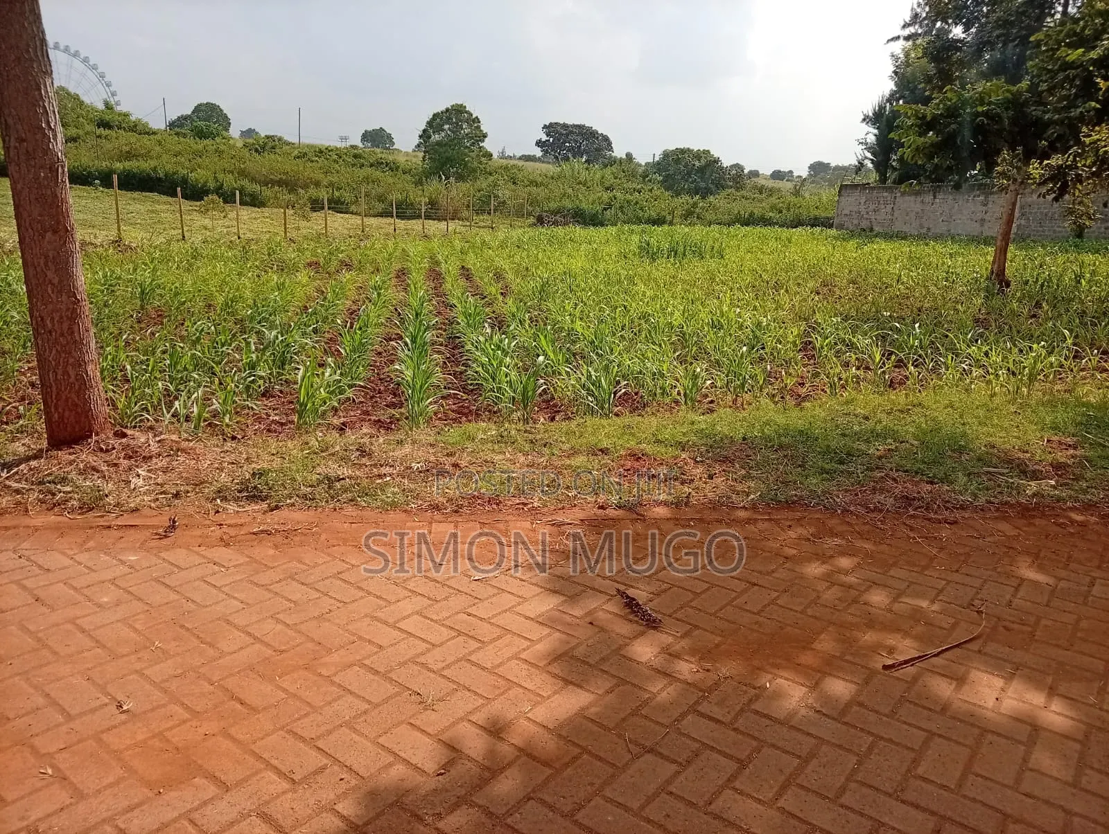 Runda Gardens Prime Residential Serviced Well Drained Red Soil 3/4 AC in Runda