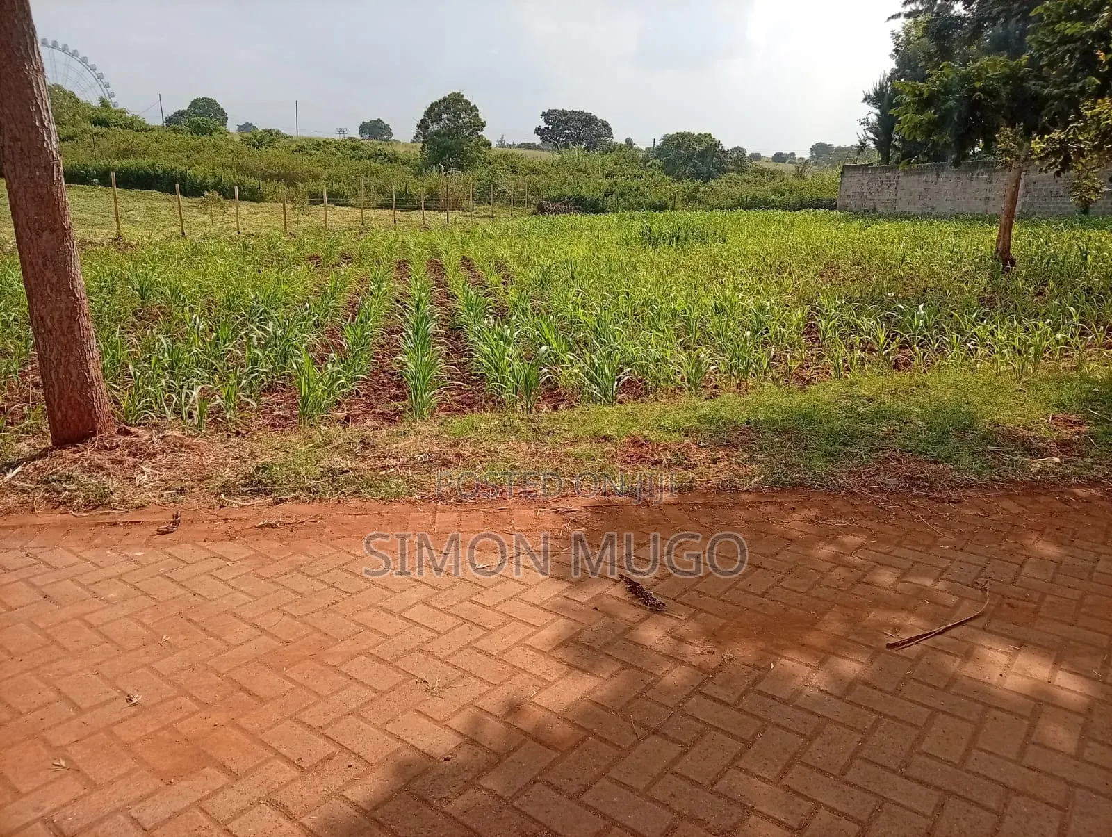 Runda Gardens Prime Residential Serviced Well Drained Red Soil 3/4 AC in Runda